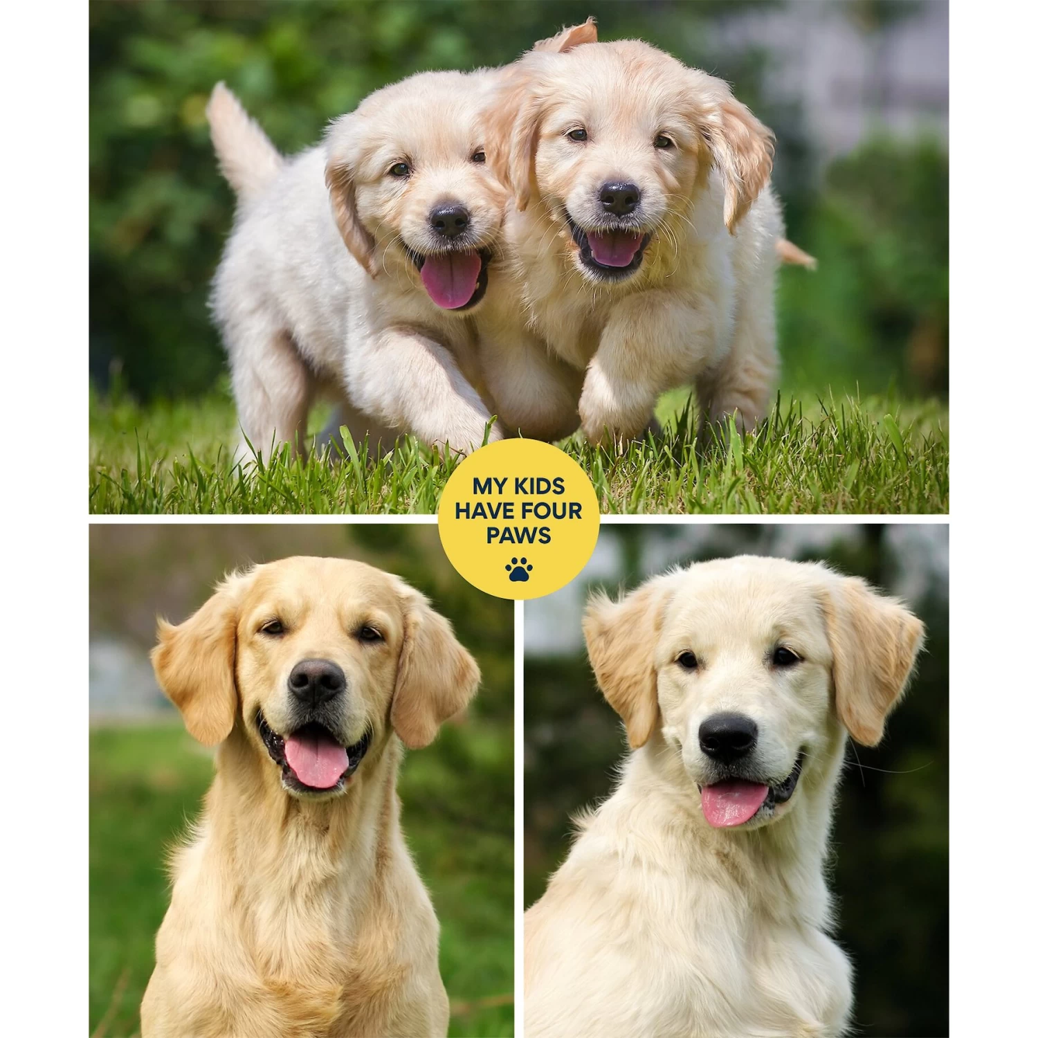 Frisco "Contemporary #1" 8 X 10 Gallery-Wrapped Canvas - Image 3