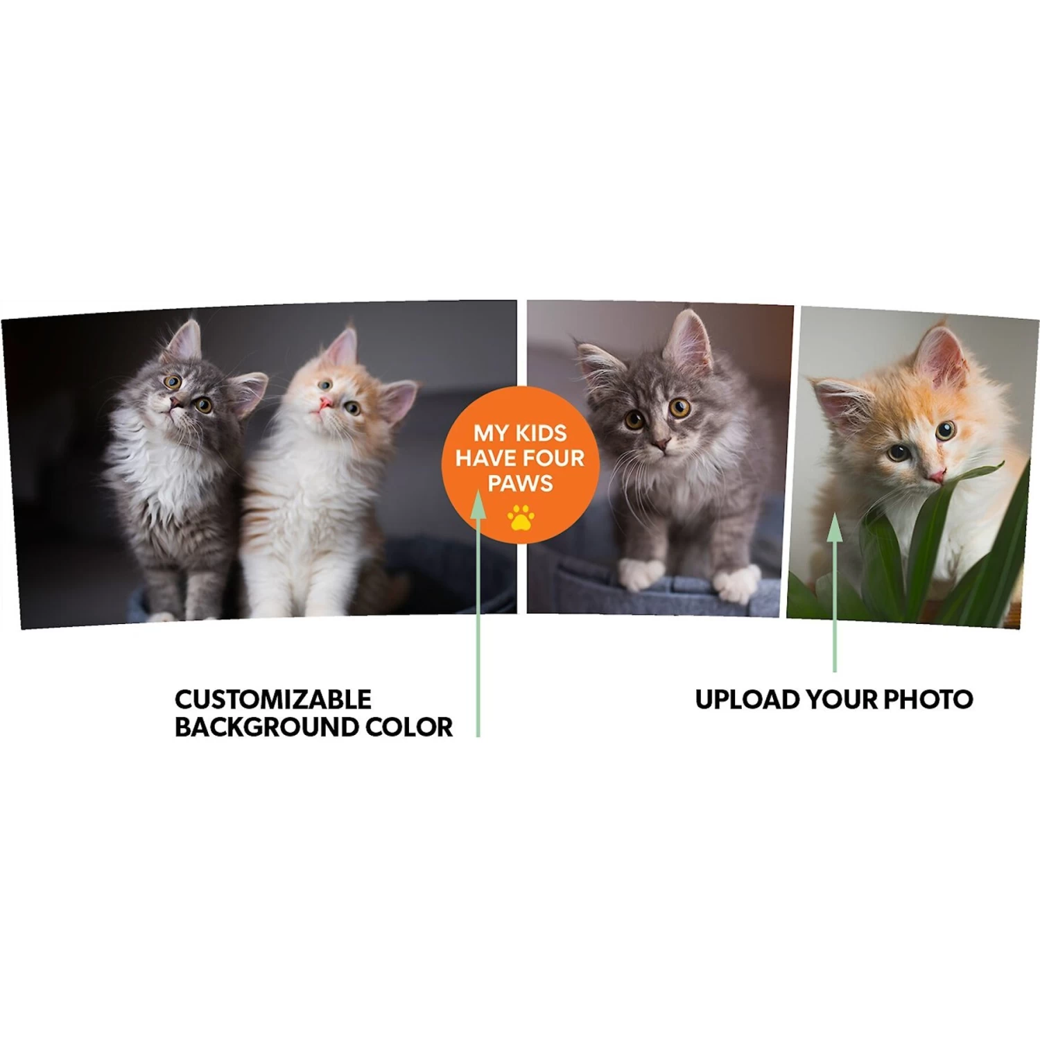 Frisco "Contemporary #1" Double Walled Tumbler. 30-oz - Image 2