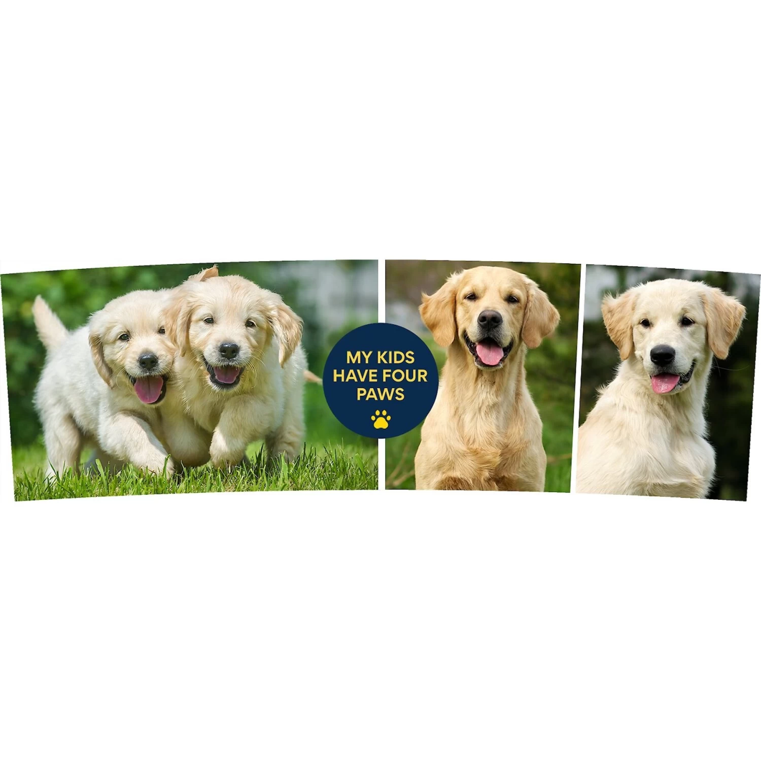 Frisco "Contemporary #1" Double Walled Tumbler. 30-oz - Image 3