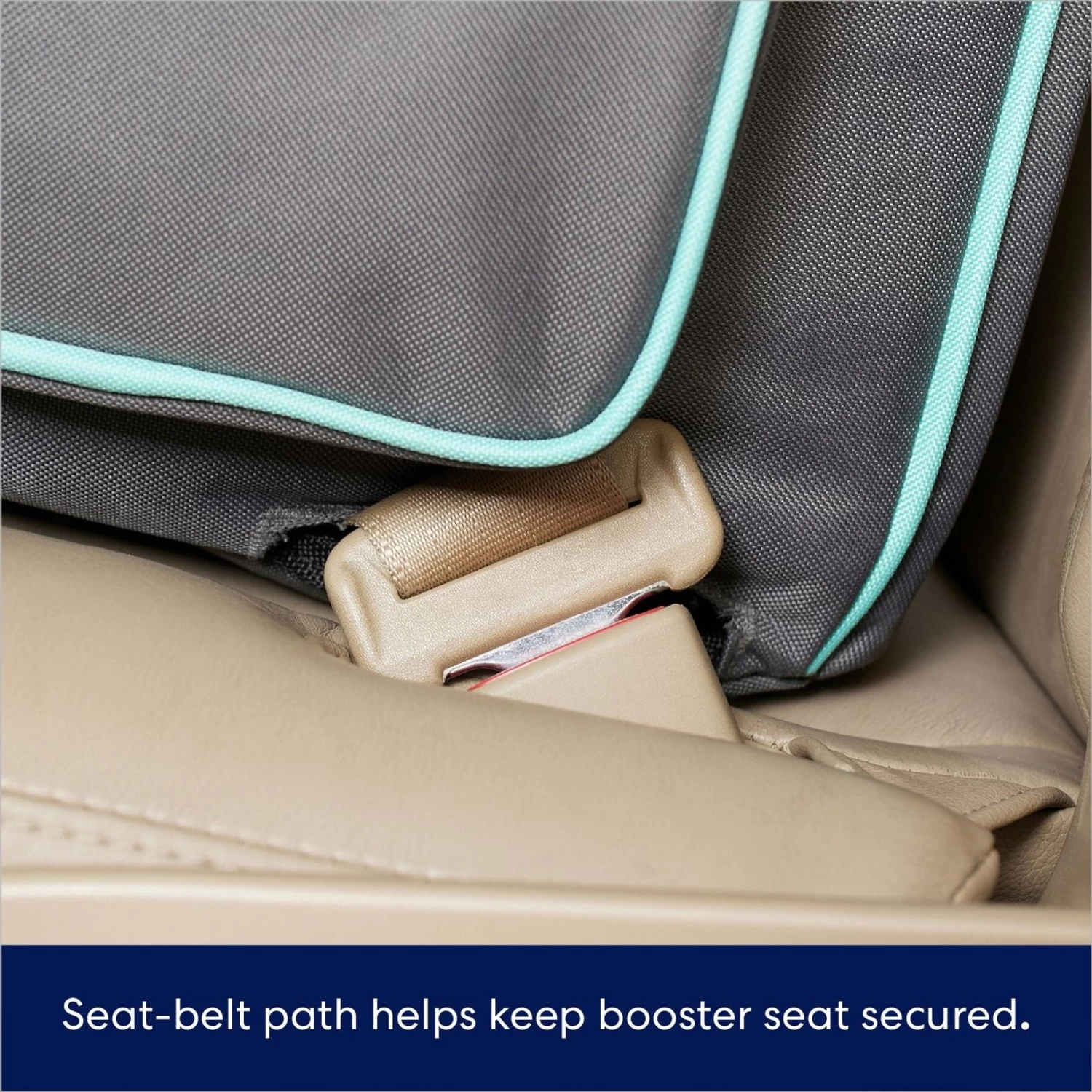 Frisco Dog Bucket Booster Seat - Image 3