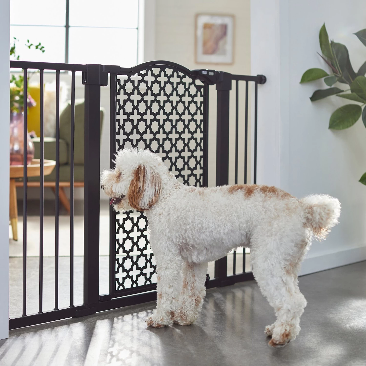 Frisco Metal Pattern Extra Wide Auto-close Dog Gate