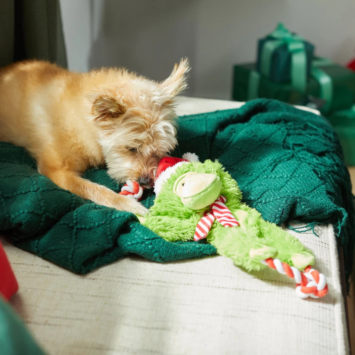 Frisco Holiday Monkey Plush With Rope Squeaky Dog Toy - Image 4