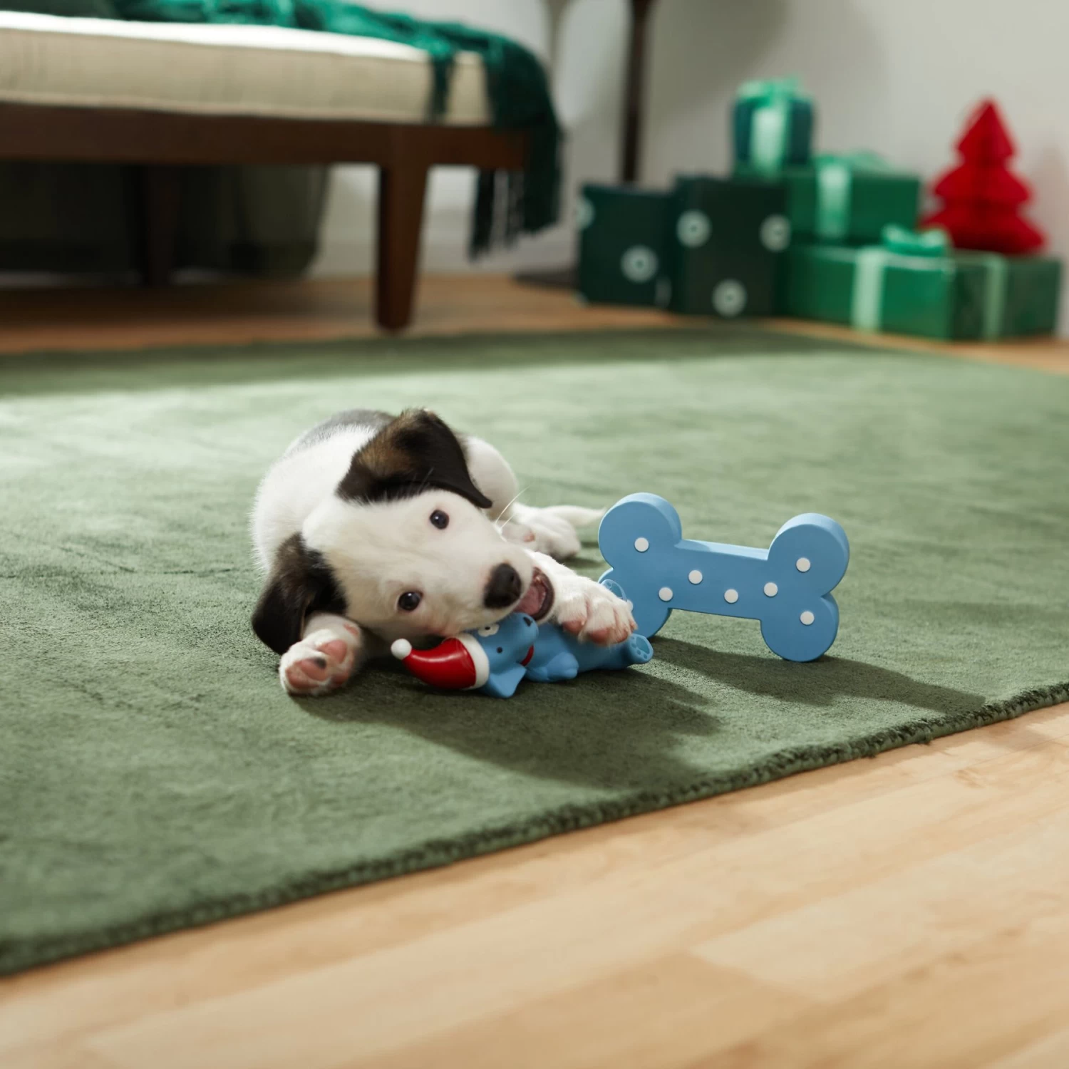 Frisco Blue Bundle Latex Squeaky Puppy Toy, 2 Count - Image 3