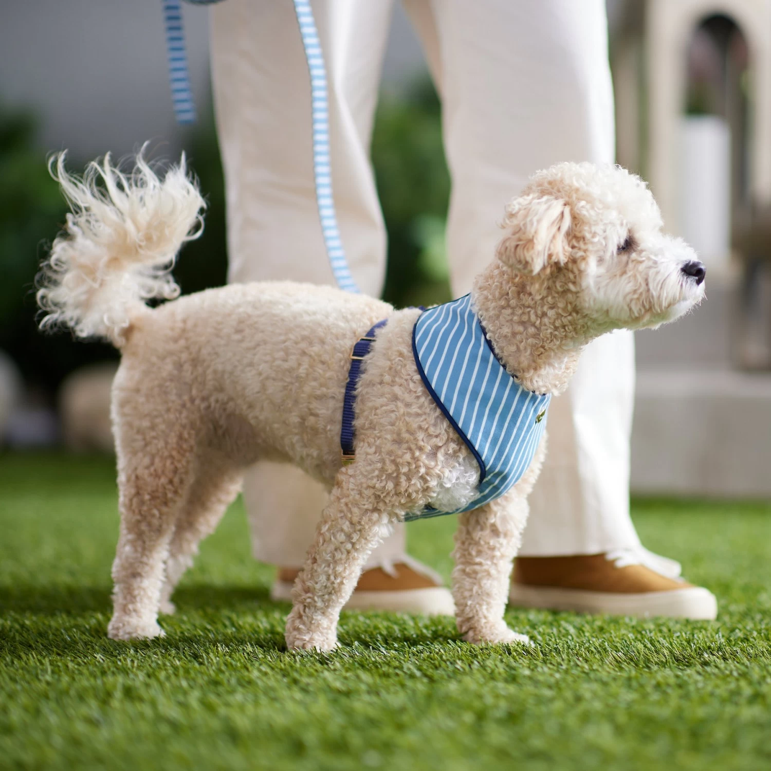Frisco Fashion Over-The-Head Harness, Striped - Image 5