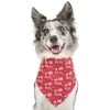 Frisco Love Letters Dog & Cat Bandana