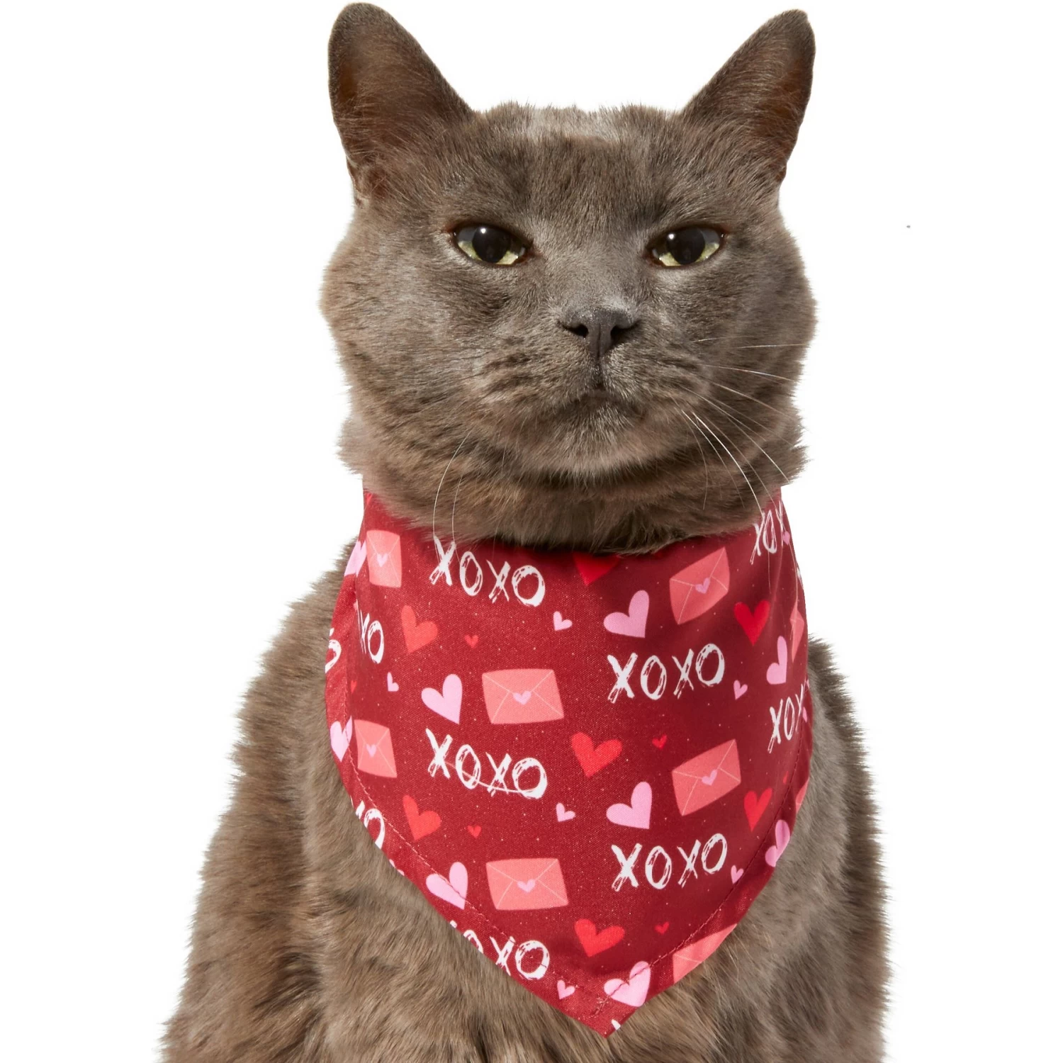 Frisco Love Letters Dog & Cat Bandana - Image 3