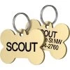 Frisco Brass Personalized Dog ID Tag