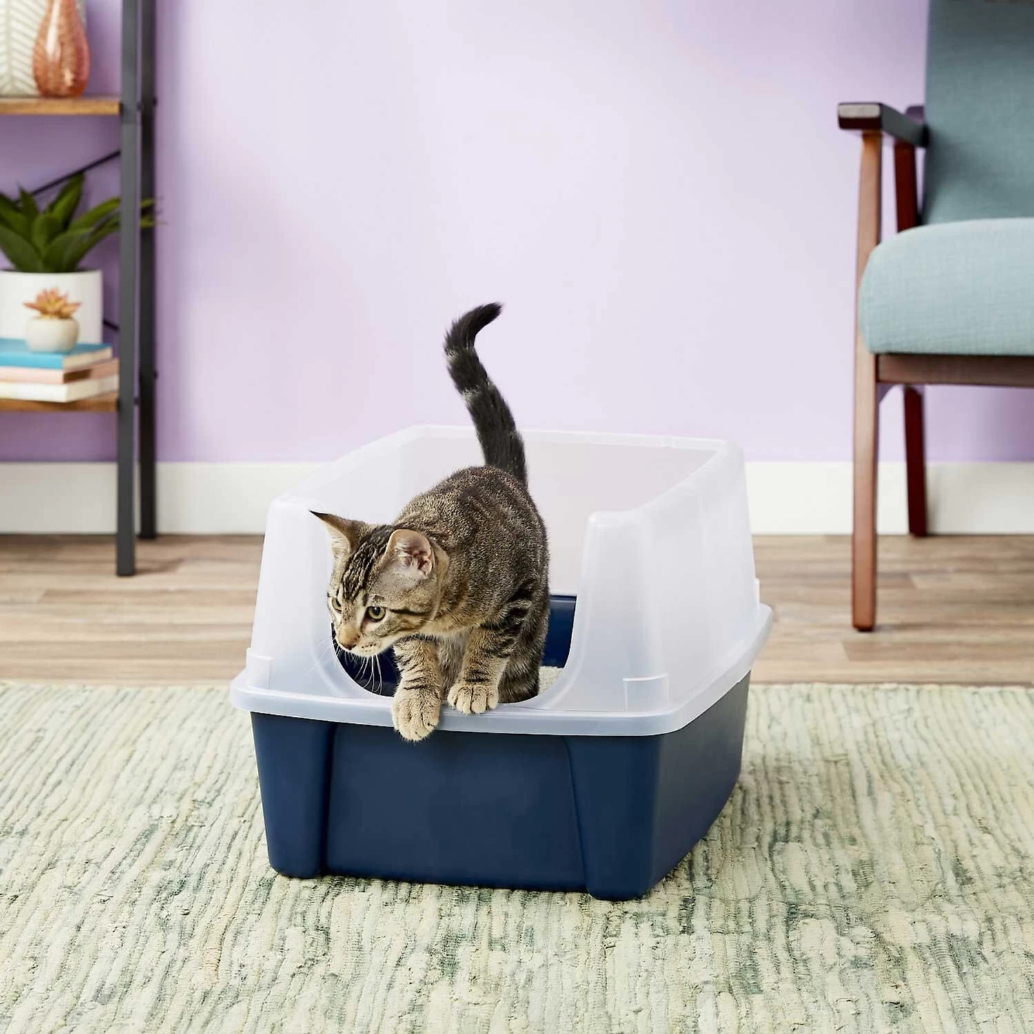 Frisco Plastic Litter Scooper With Caddy & IRIS USA Open Top Litter Box With Scatter Shield - Image 7