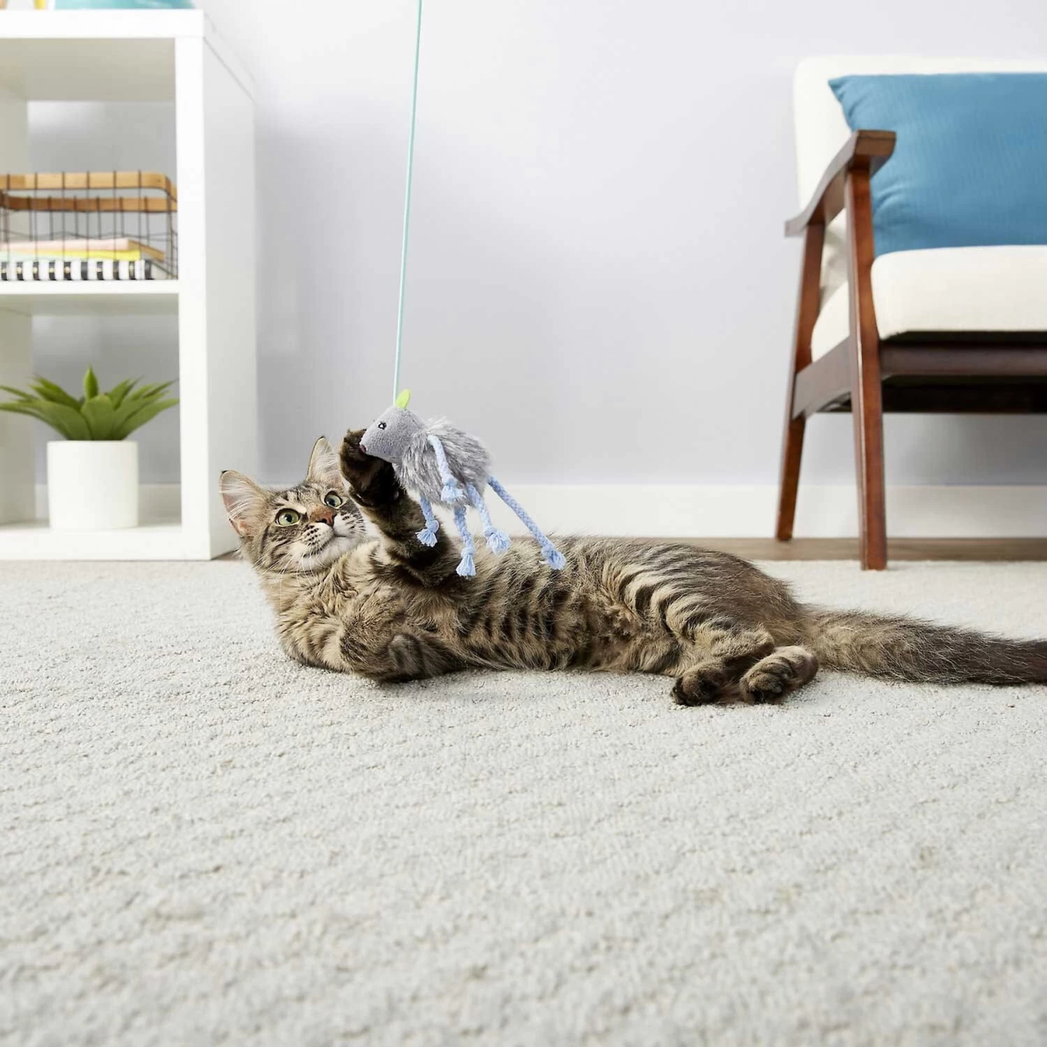 PureBites Chicken Breast Freeze-Dried Raw Cat Treats & Frisco Bouncy Mouse Plush Teaser Cat Toy With Catnip - Image 6