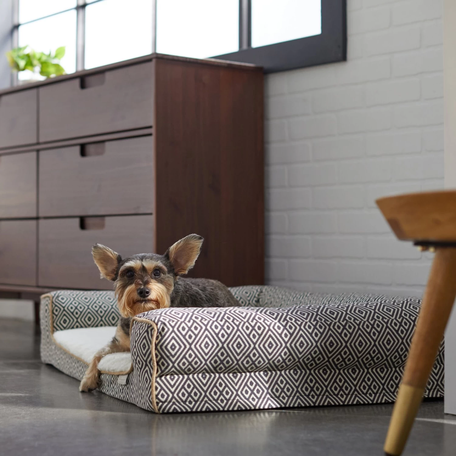 Frisco Boho Modern Couch Dog & Cat Bed