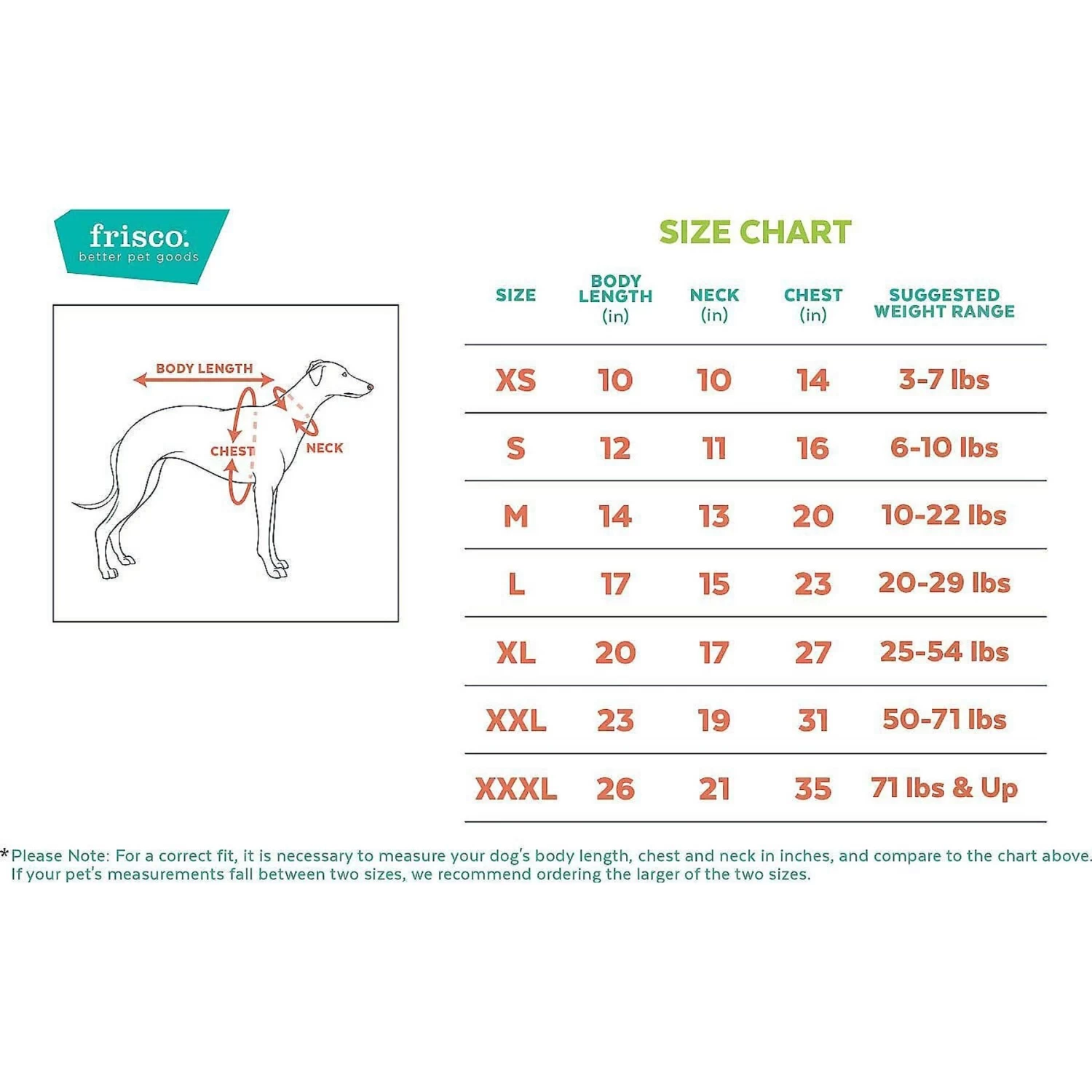 Frisco Basic Dog & Cat T-Shirt & Frisco Dog & Cat Basic Hoodie - Image 2