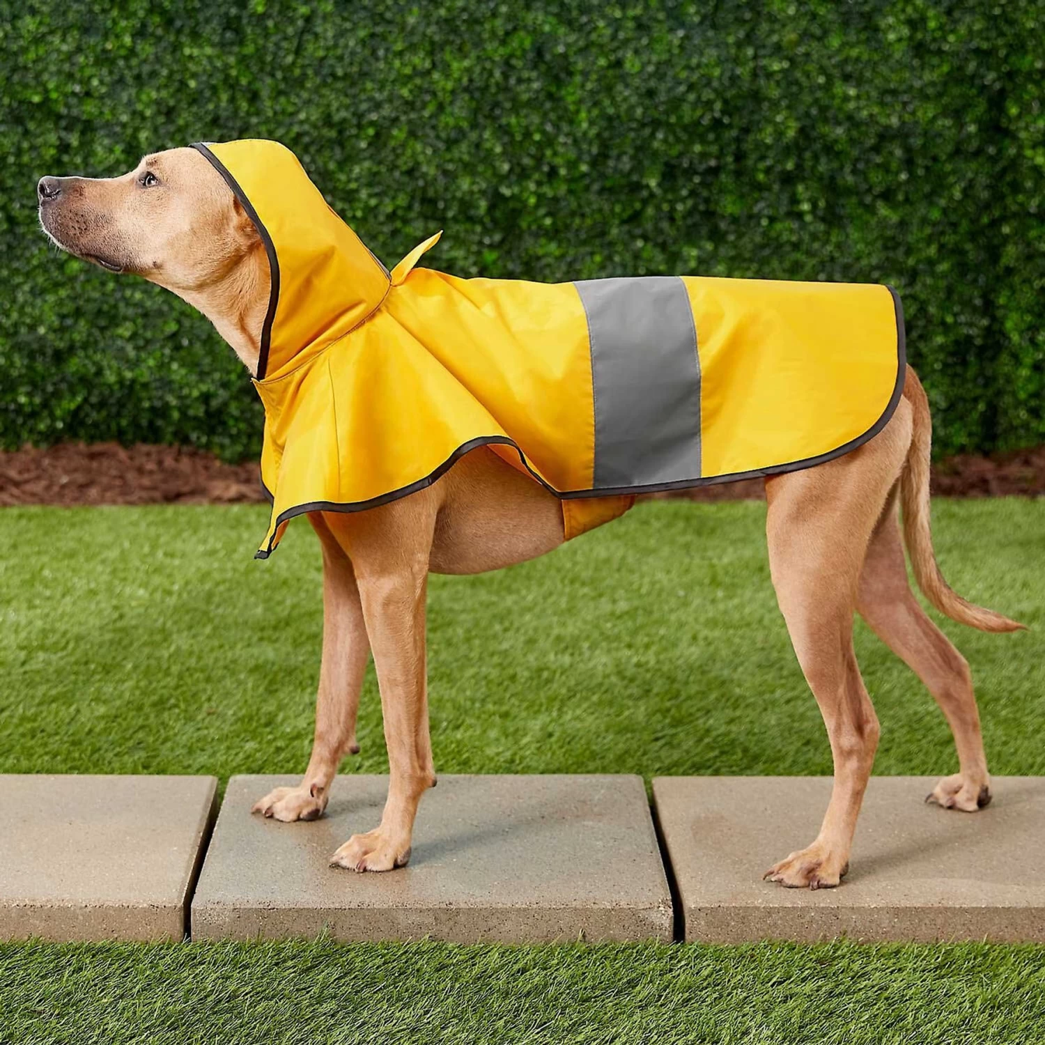 Frisco Lightweight Rainy Days Dog Raincoat & Frisco Lightweight Flamingo Dog Raincoat - Image 5