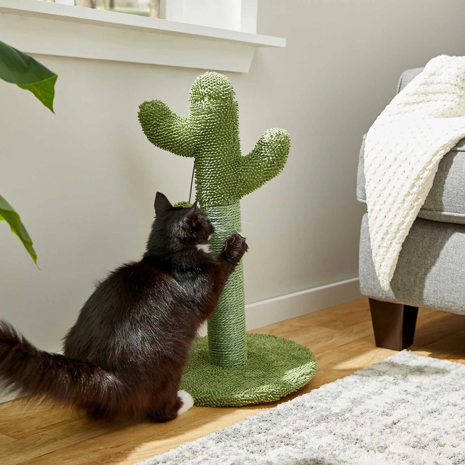 Frisco Novelty Unicorn Covered Cat & Dog Bed & Frisco Cactus Cat Scratching Post - Image 8