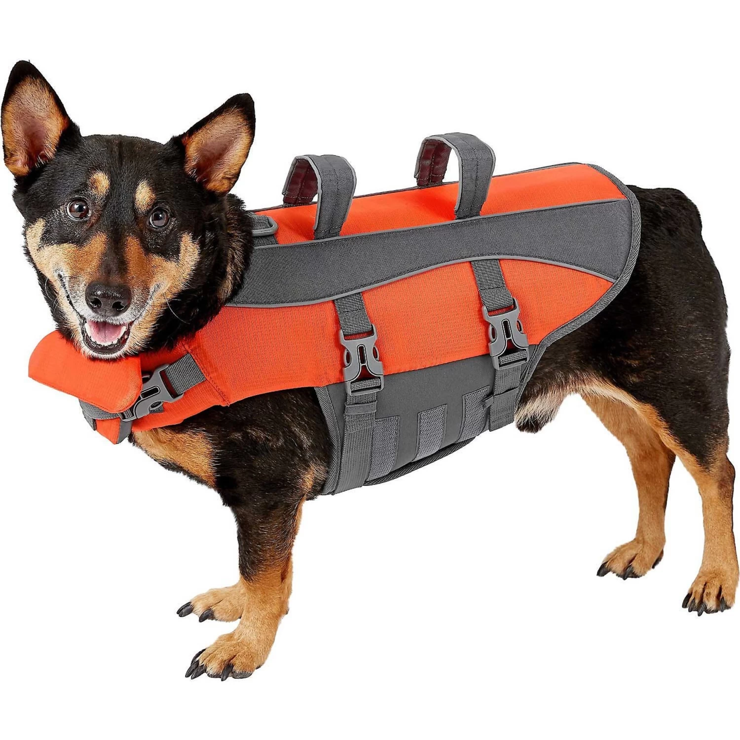Frisco Ripstop Dog Life Jacket & Frisco Foam Rubber Floating Fetch Ball No Squeak Dog Toy - Image 2