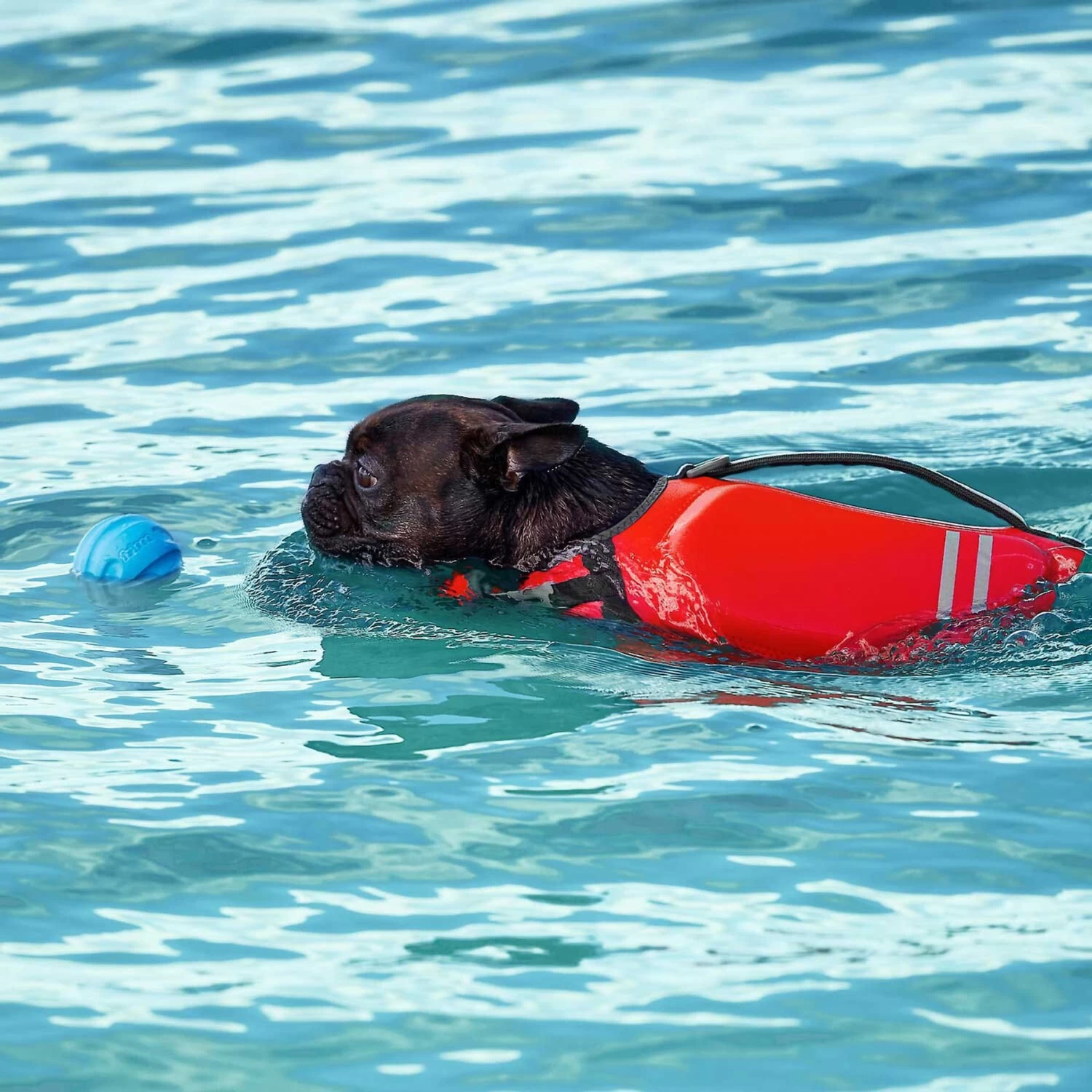 Frisco Ripstop Dog Life Jacket & Frisco Foam Rubber Floating Fetch Ball No Squeak Dog Toy - Image 8