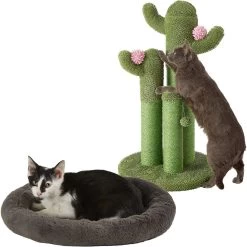 Frisco Self Warming Bolster Round Kitten Bed & Frisco Cactus Cat Scratching Post
