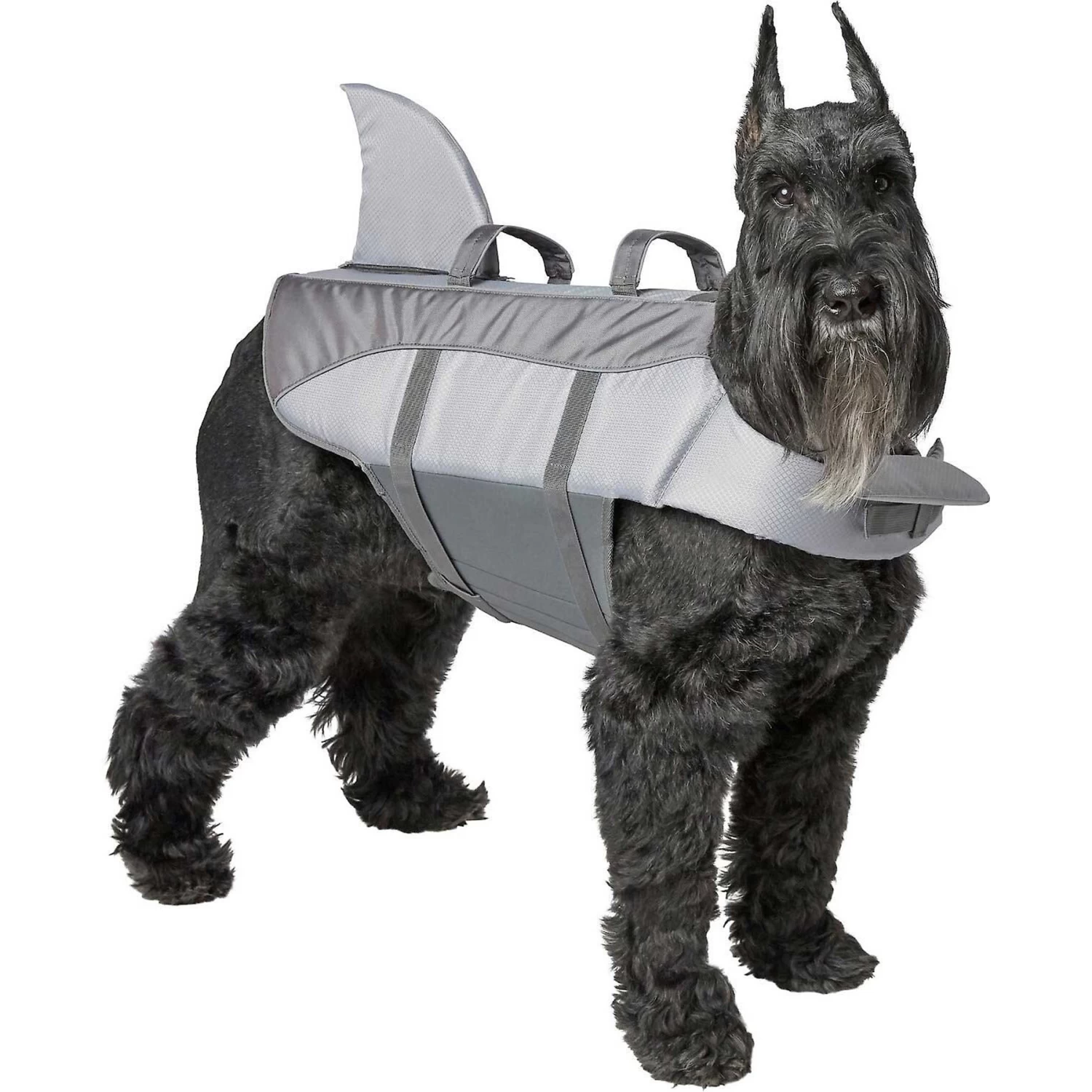 Frisco Shark Dog Life Jacket & Frisco Foam Rubber Floating Fetch Ball No Squeak Dog Toy - Image 2