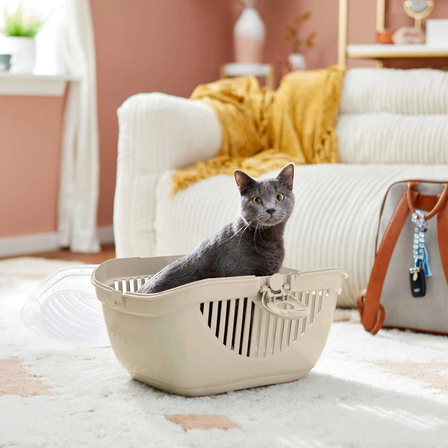 Frisco Top Loading Cat Kennel & Frisco Cactus Cat Scratching Post - Image 5