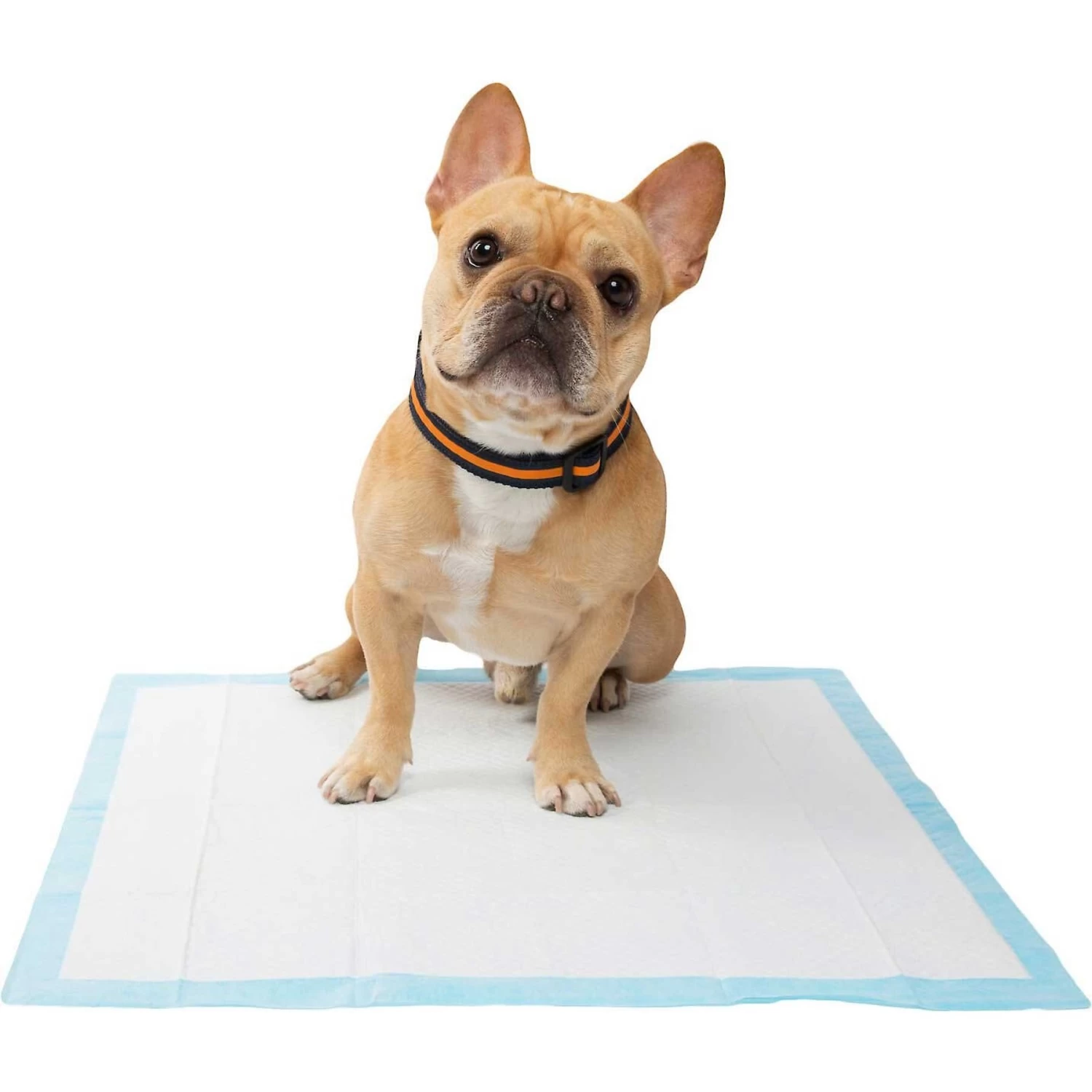 Wee-Wee Pad On Target Trainer & Frisco Premium Dog Training & Potty Pads - Image 7