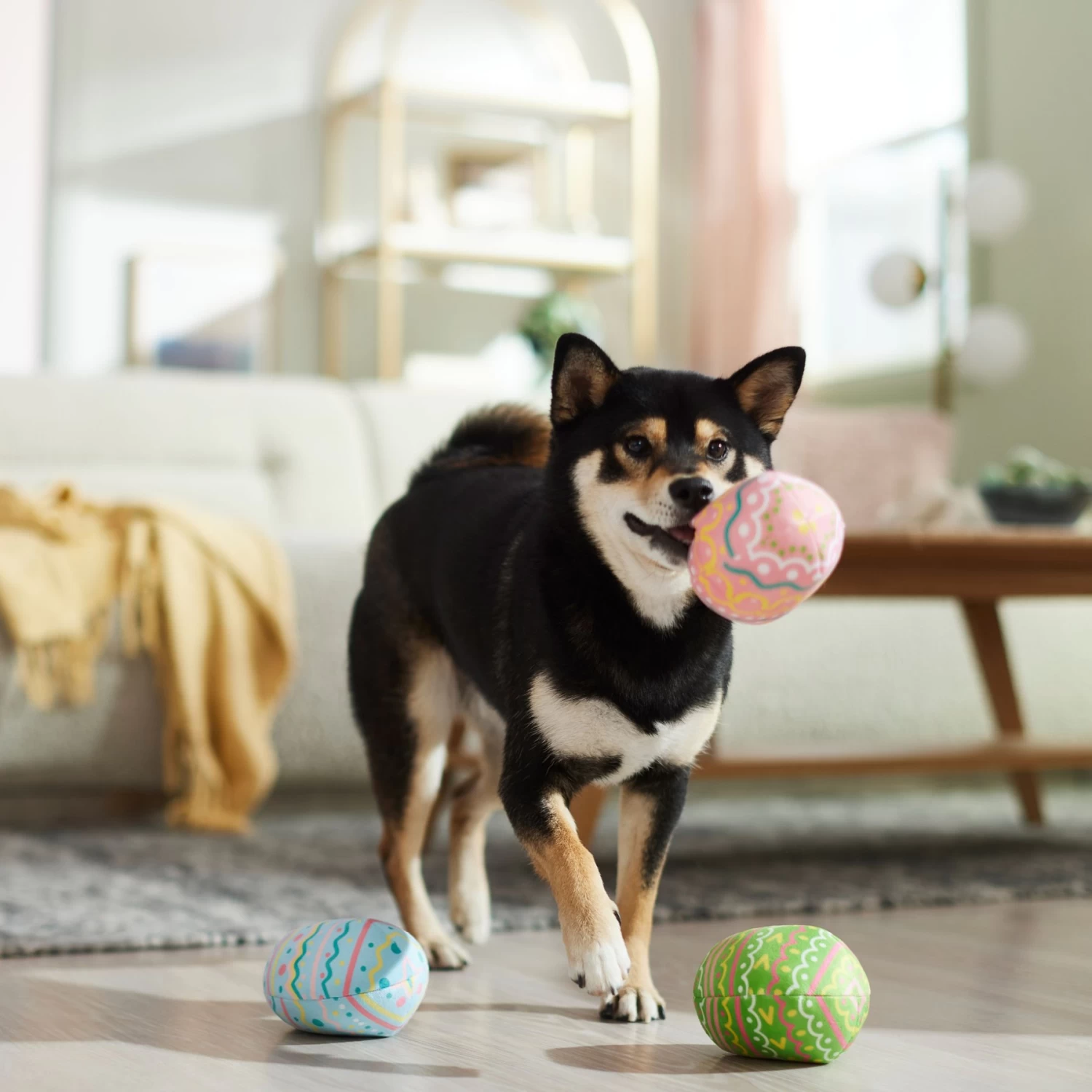 Frisco Easter Eggs Plush Squeaky Dog Toy - Image 5