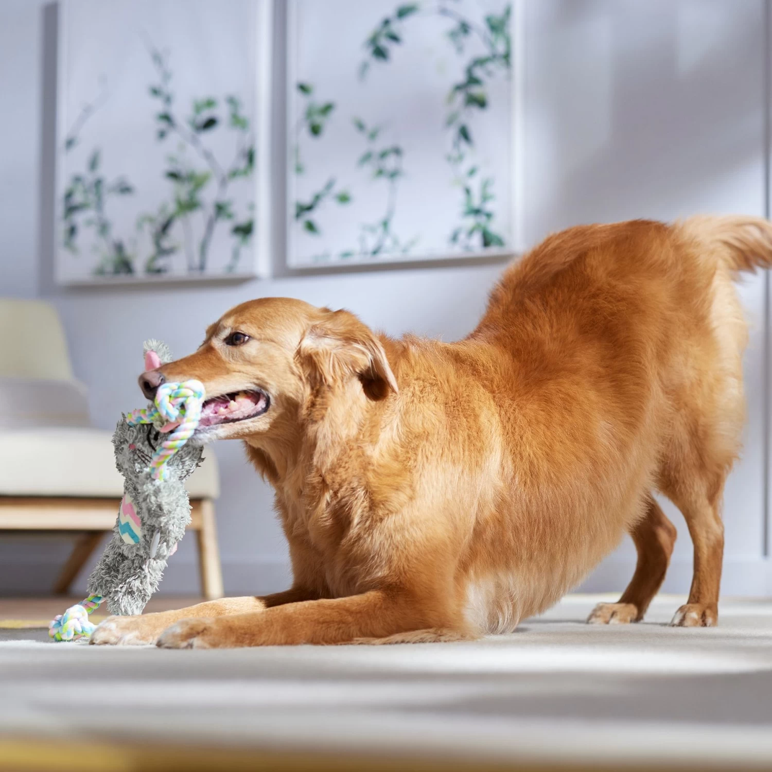 Frisco Easter Bunny Plush With Rope Squeaky Dog Toy - Image 4