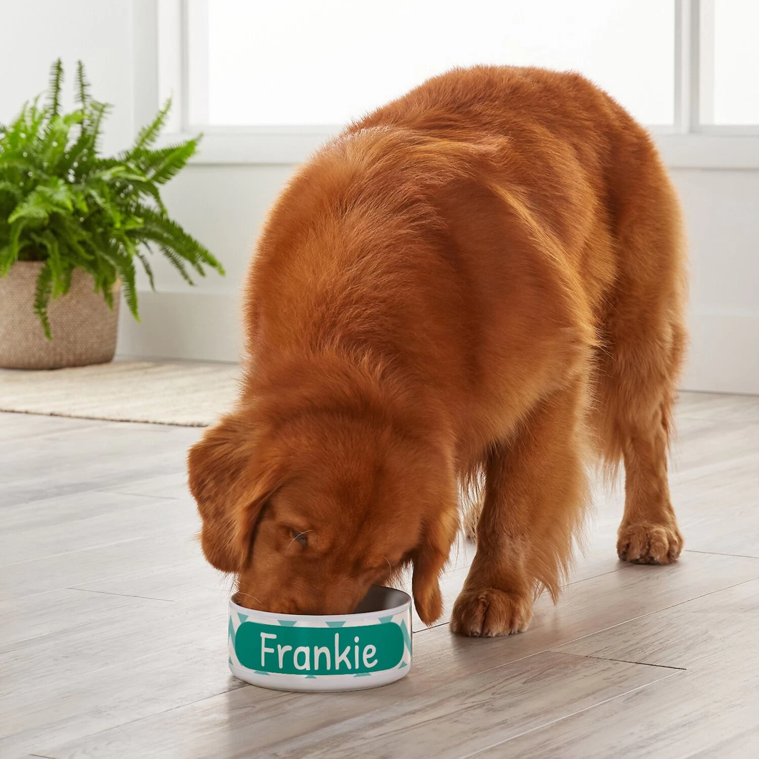 Frisco Personalized Chevron Ceramic Dog Bowl, 4.75-cup, 38oz - Image 5