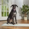 Frisco Giant Non-Skid Ultra Premium Dog Training & Potty Pads