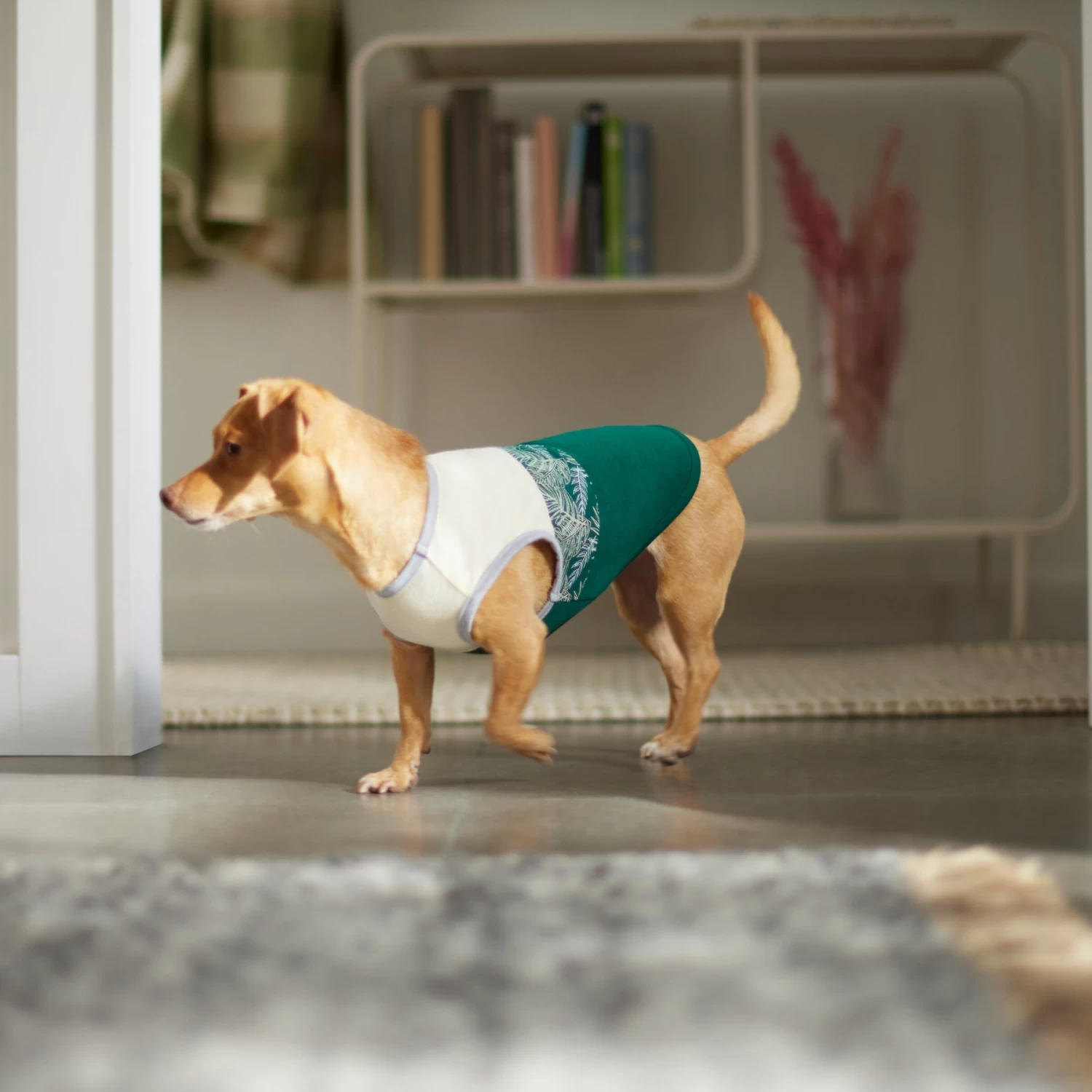 Frisco Tropical Palm Dog & Cat T-Shirt - Image 6