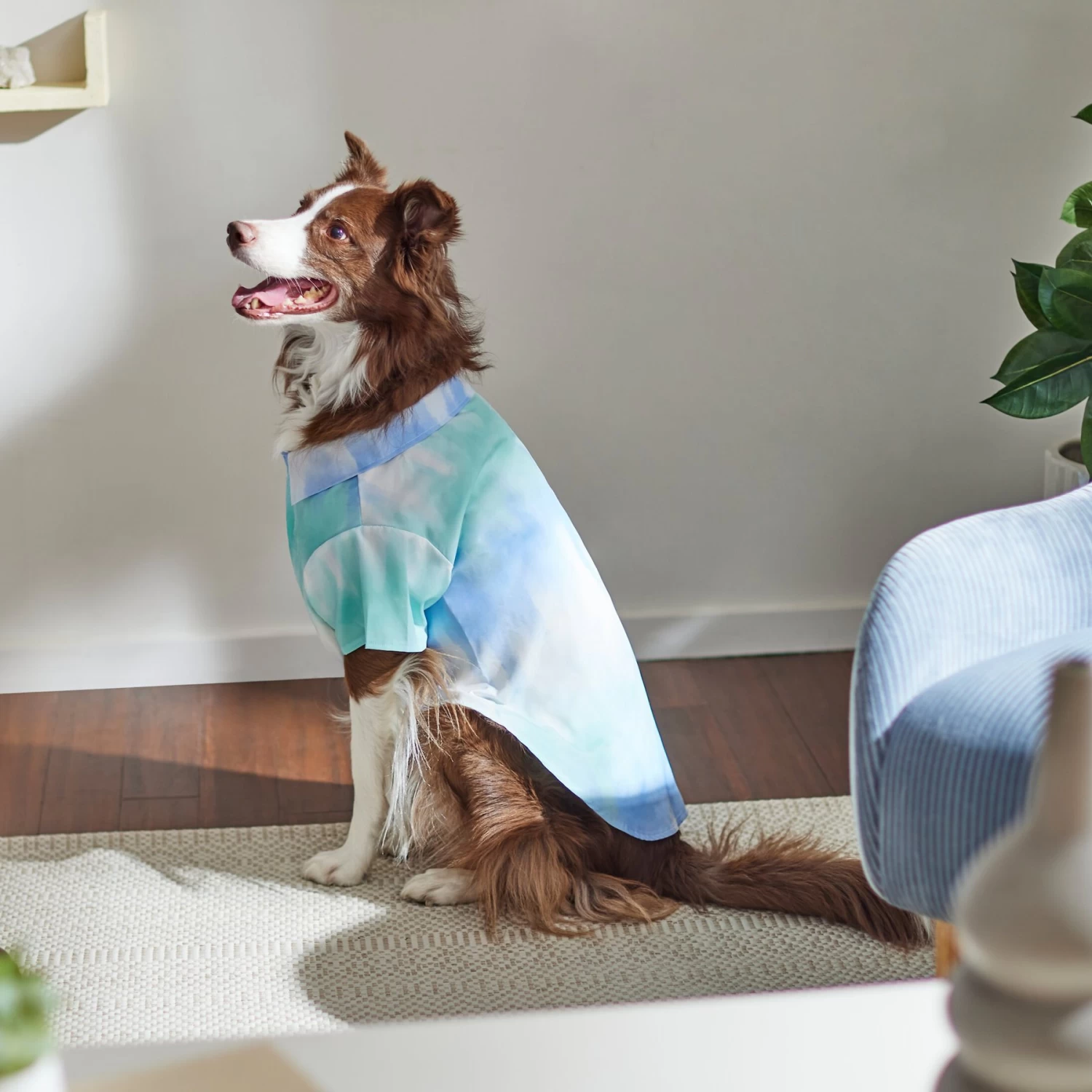 Frisco Blue Tie Dye Dog & Cat Shirt - Image 8