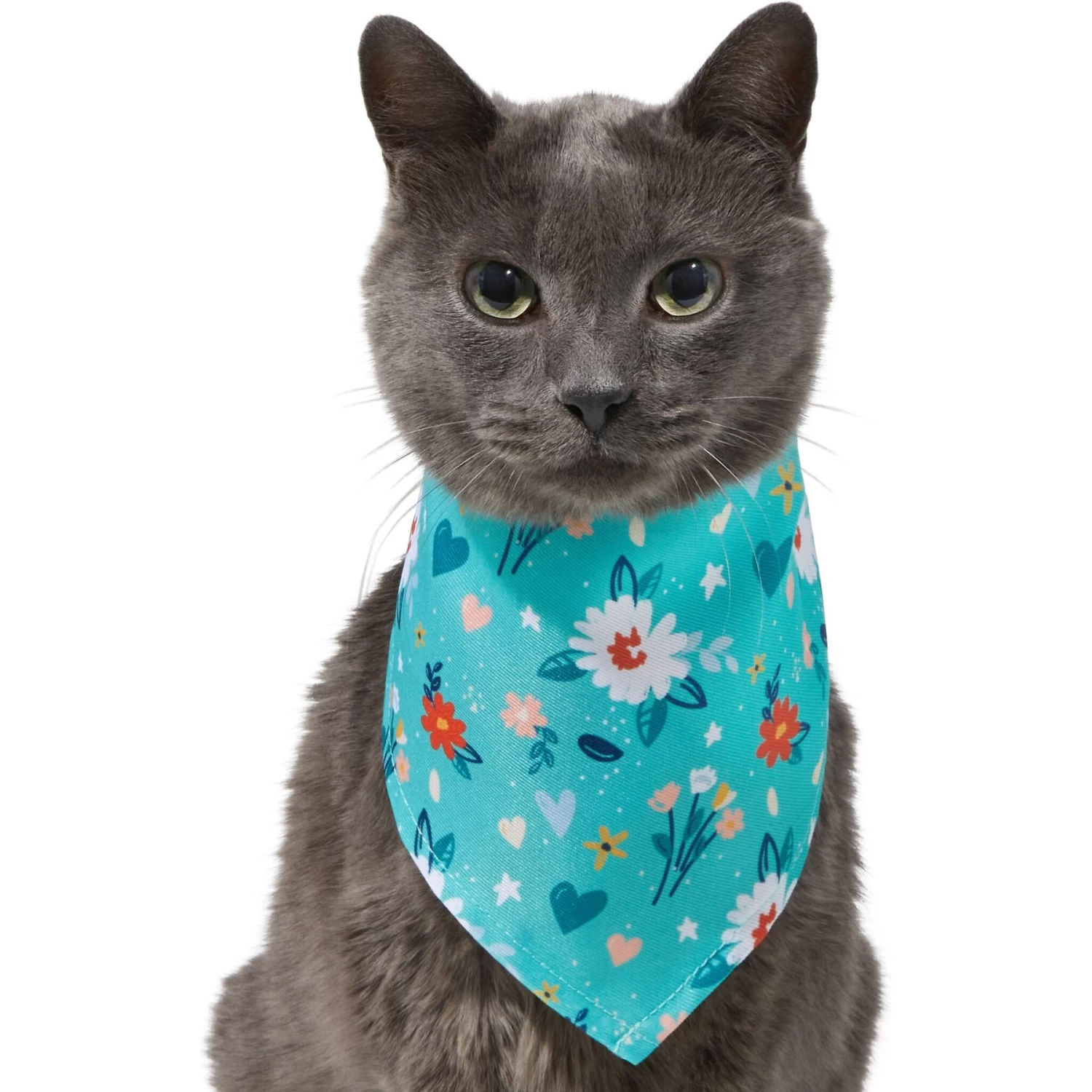 Frisco Spring Floral Dog & Cat Bandana - Image 3