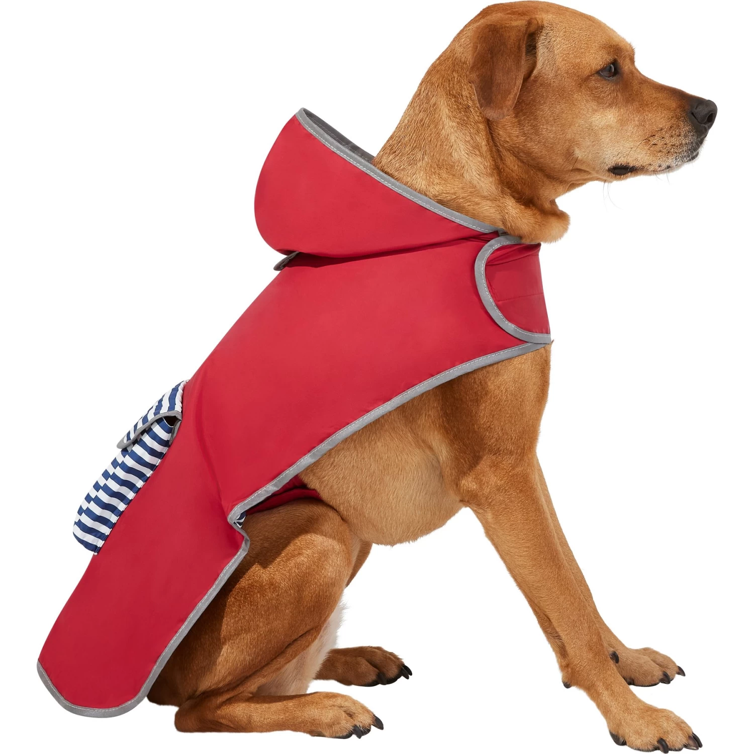 Frisco Lightweight Red Reversible Packable Dog Raincoat
