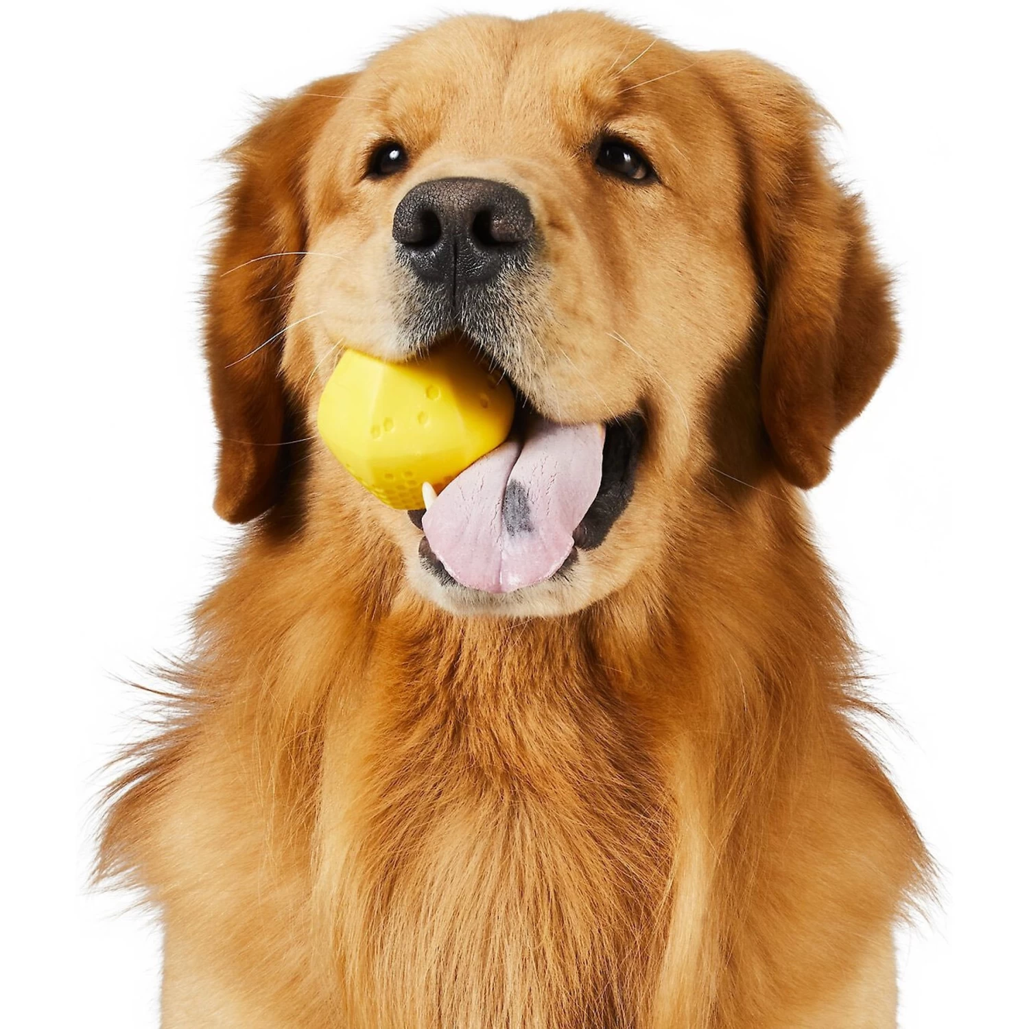 Frisco Fetch Squeaking Colorful Tennis Ball Dog Toy & Project Hive Pet Company Ball Dog Toy - Image 6