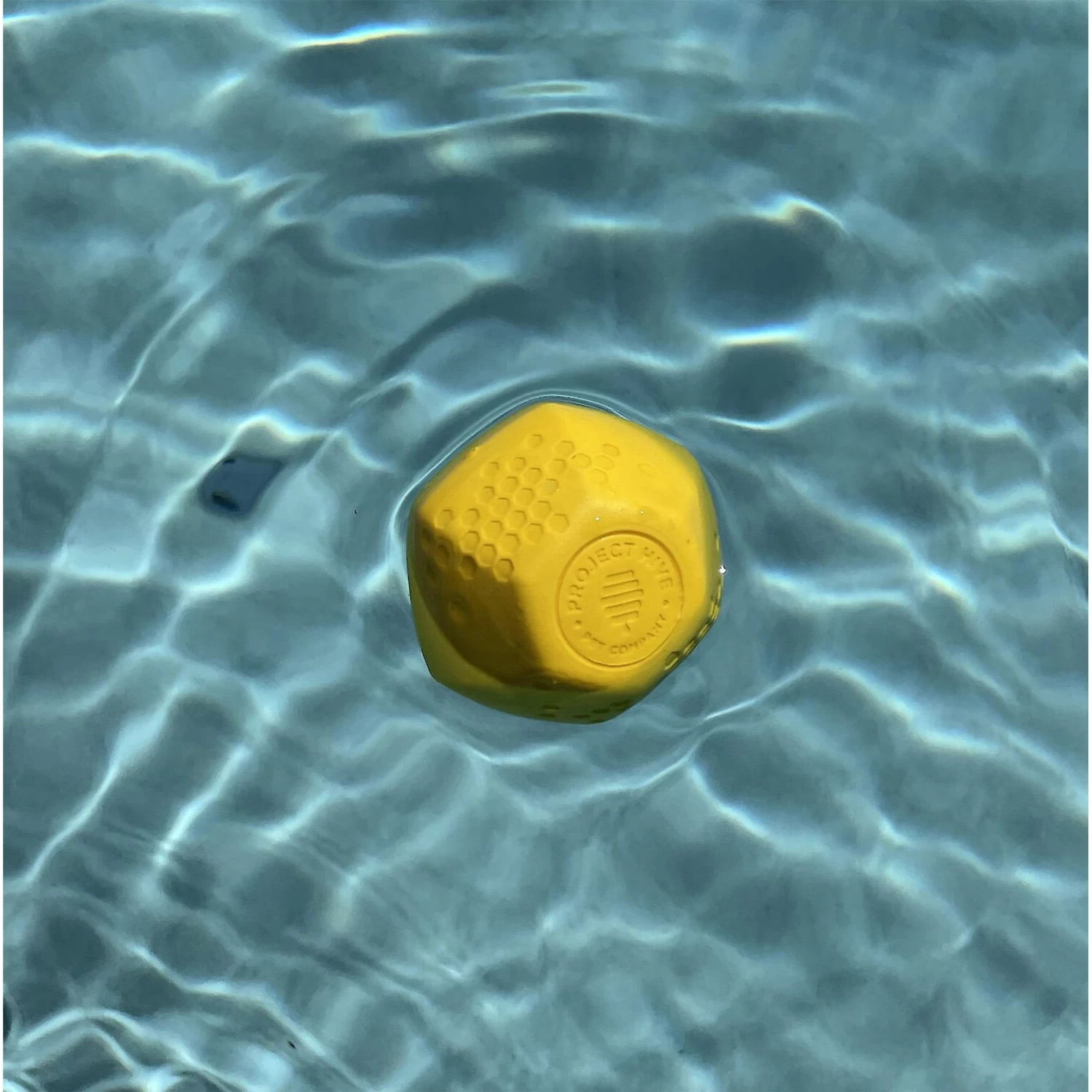 Frisco Fetch Squeaking Colorful Tennis Ball Dog Toy & Project Hive Pet Company Ball Dog Toy - Image 7