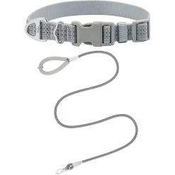 Frisco Outdoor Ultra Reflective Nylon Dog Collar & Frisco Outdoor Ultra Reflective Rope Leash With Padded Handle