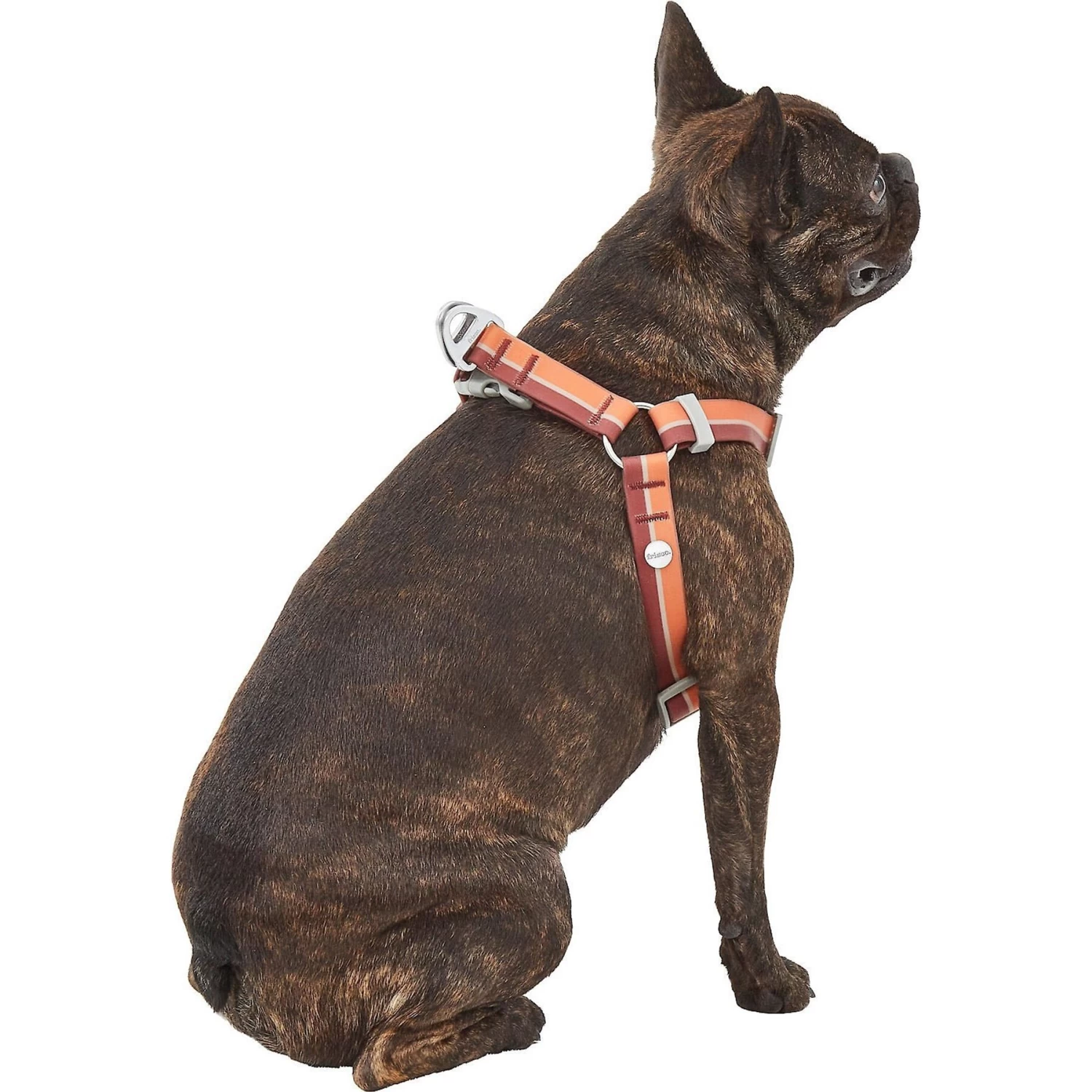 Frisco Outdoor Two Toned Waterproof Stink Proof PVC Dog Leash & Frisco Outdoor Two Tone Waterproof Stinkproof PVC Dog Harness - Image 7