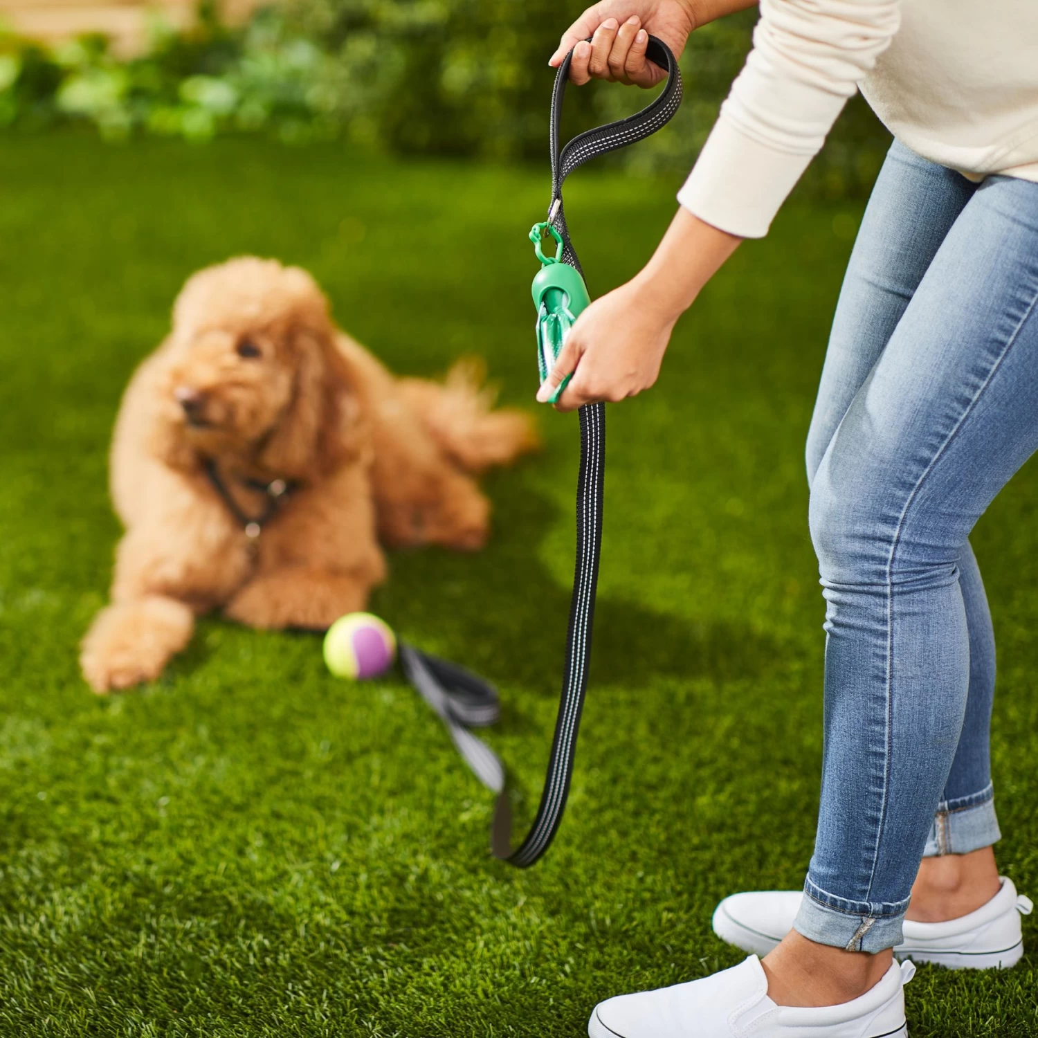 Frisco Traffic Leash With Padded Handles & Poop Bag Dispenser & Frisco Refill Dog Poop Bags Made With 50% Recycled Packaging - Image 9