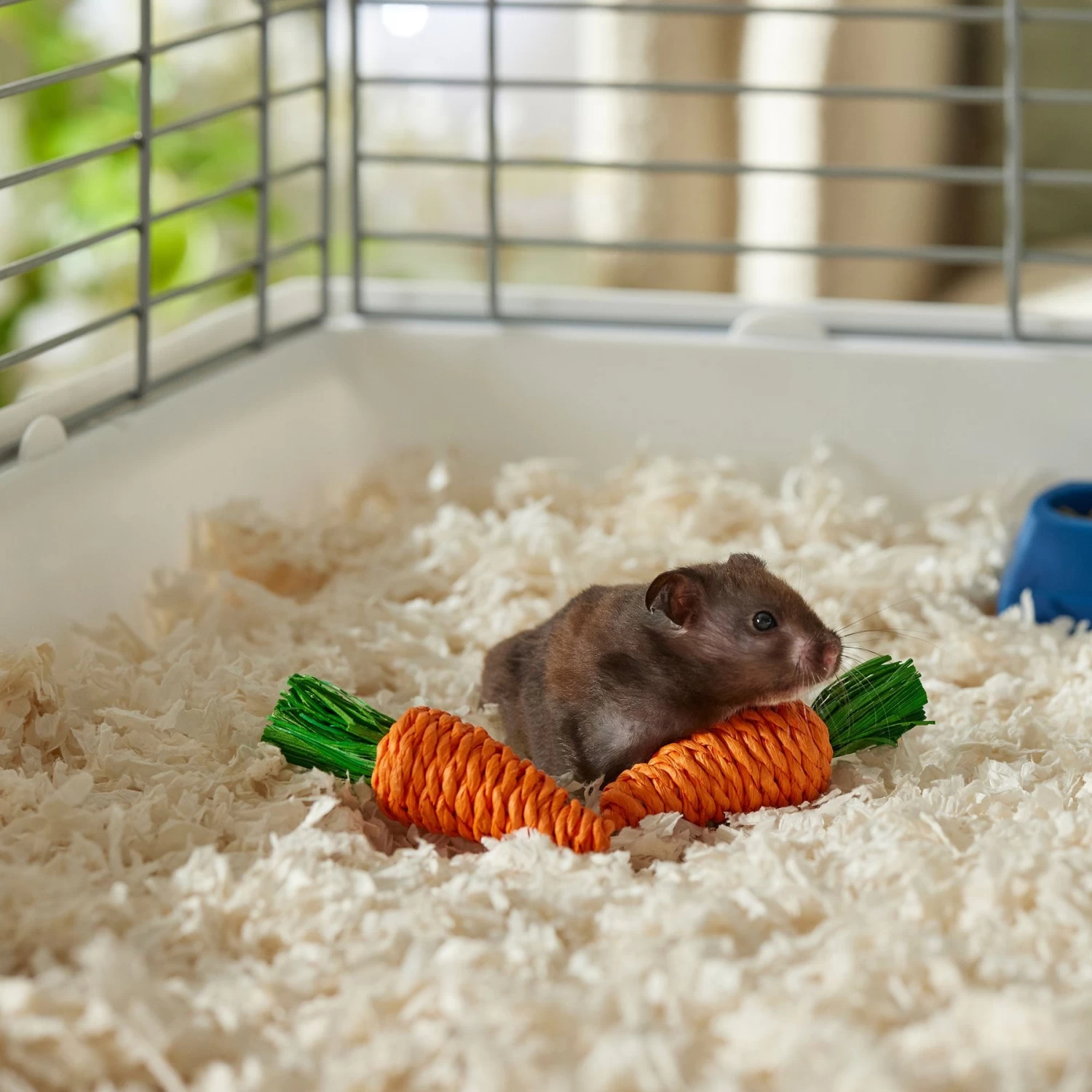 Frisco Carrot Small Pet Chew Toy - Image 3