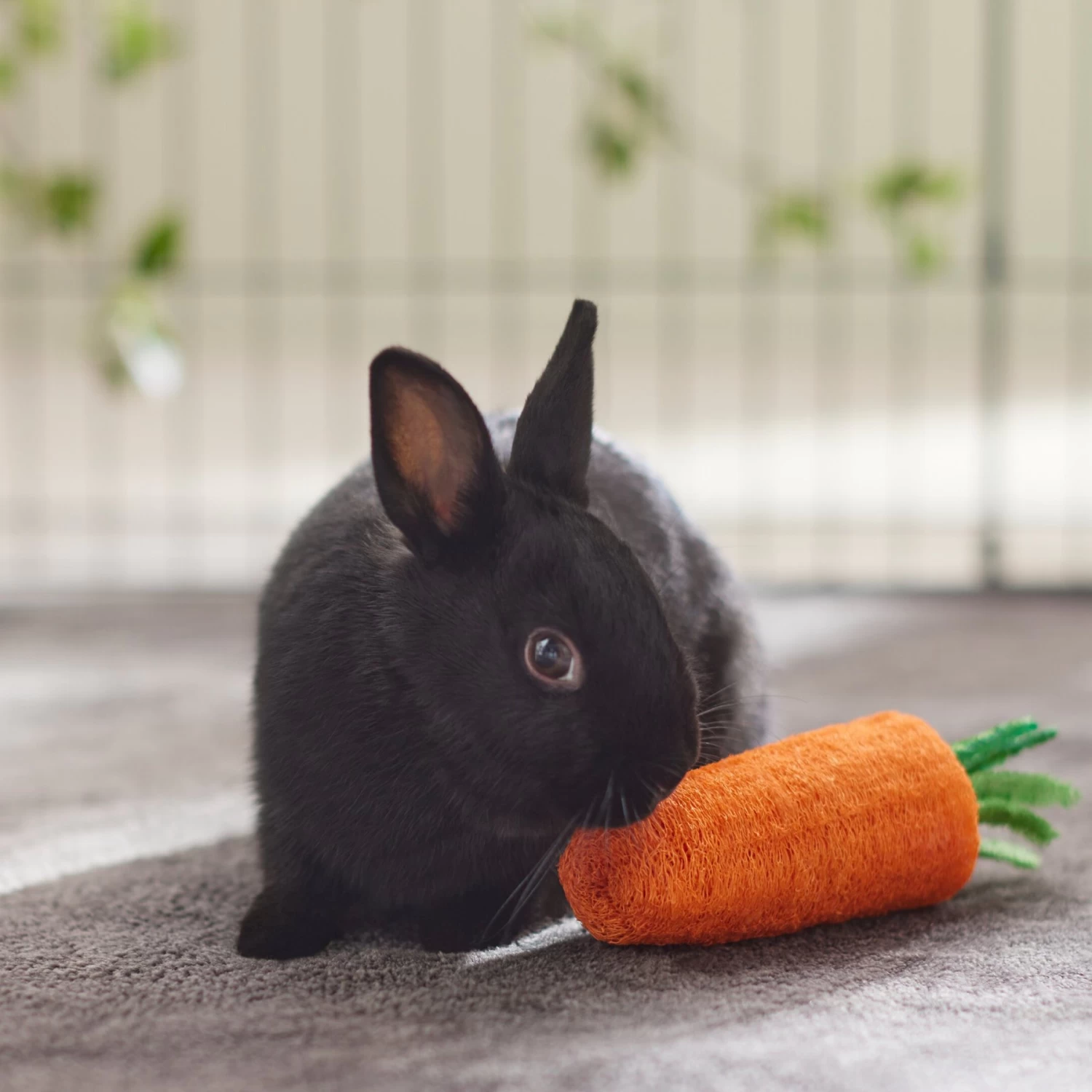 Frisco Carrot Loofah Small Pet Chew Toy - Image 3