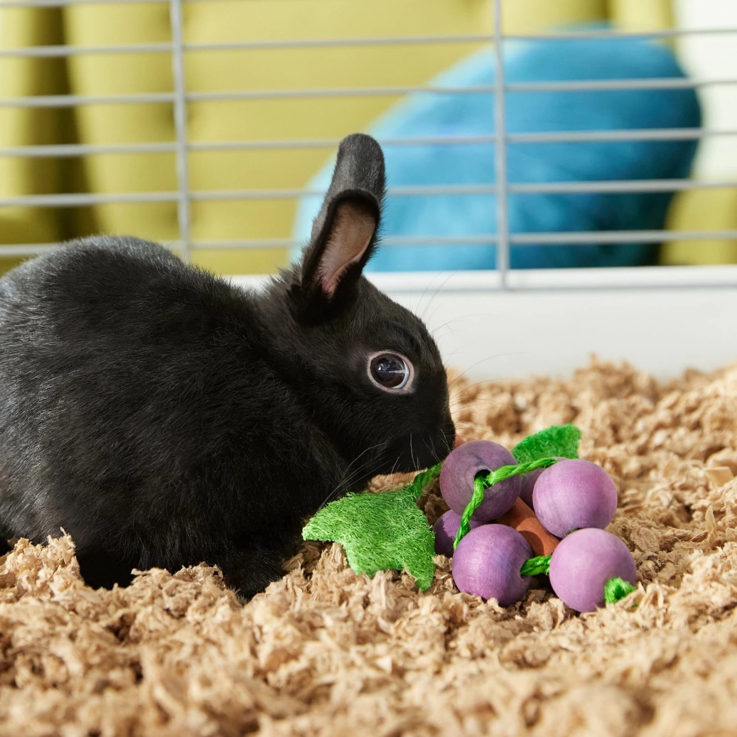 Frisco Wooden Grape Vine Small Pet Chew Toy - Image 3