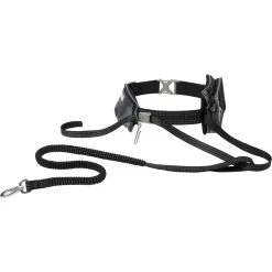 Frisco Outdoor Running Belt With Bungee Dog Leash