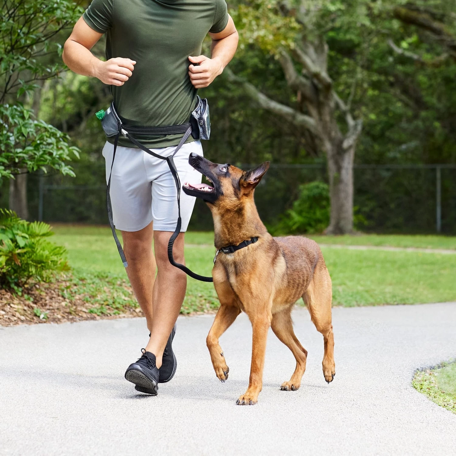 Frisco Outdoor Running Belt With Bungee Dog Leash - Image 6