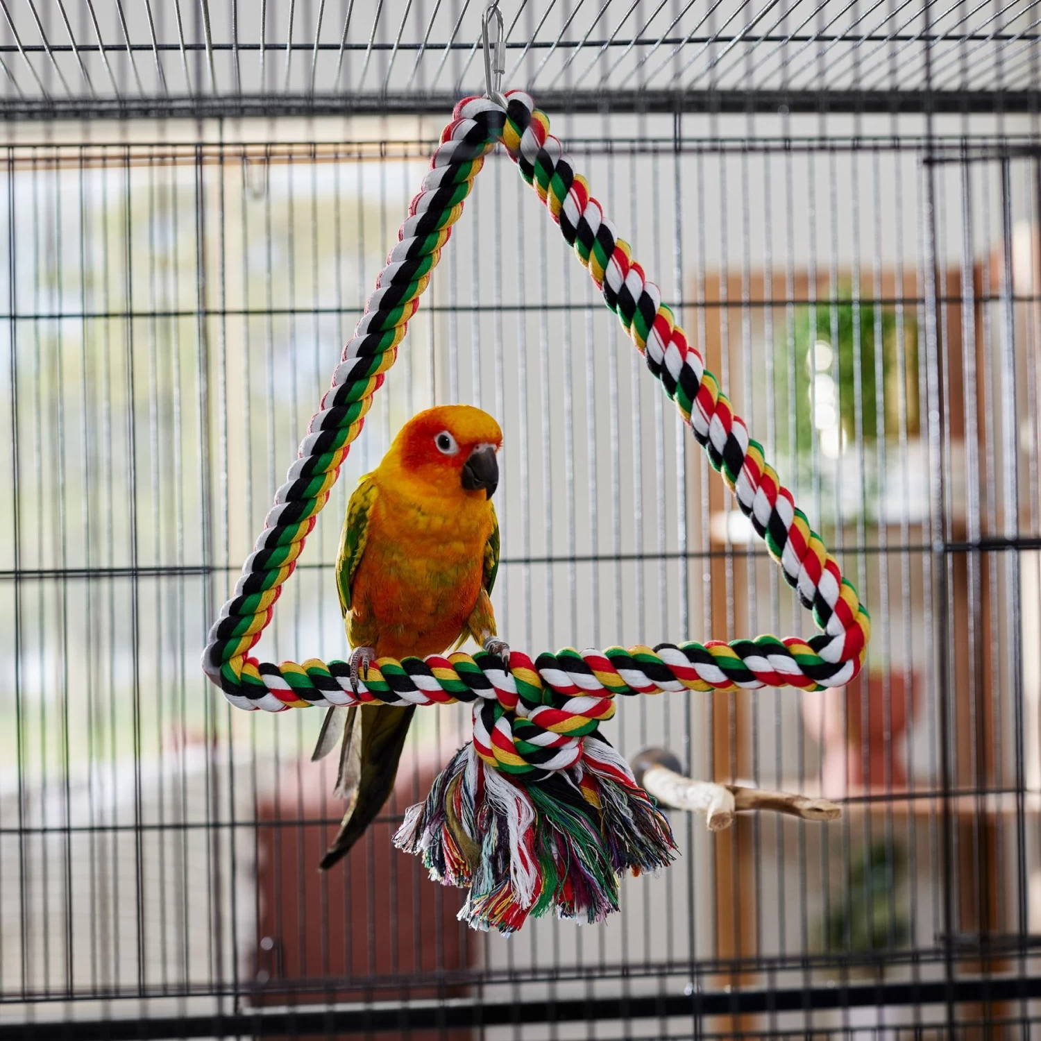 Frisco Triangular Swinging Bird Perch - Image 3