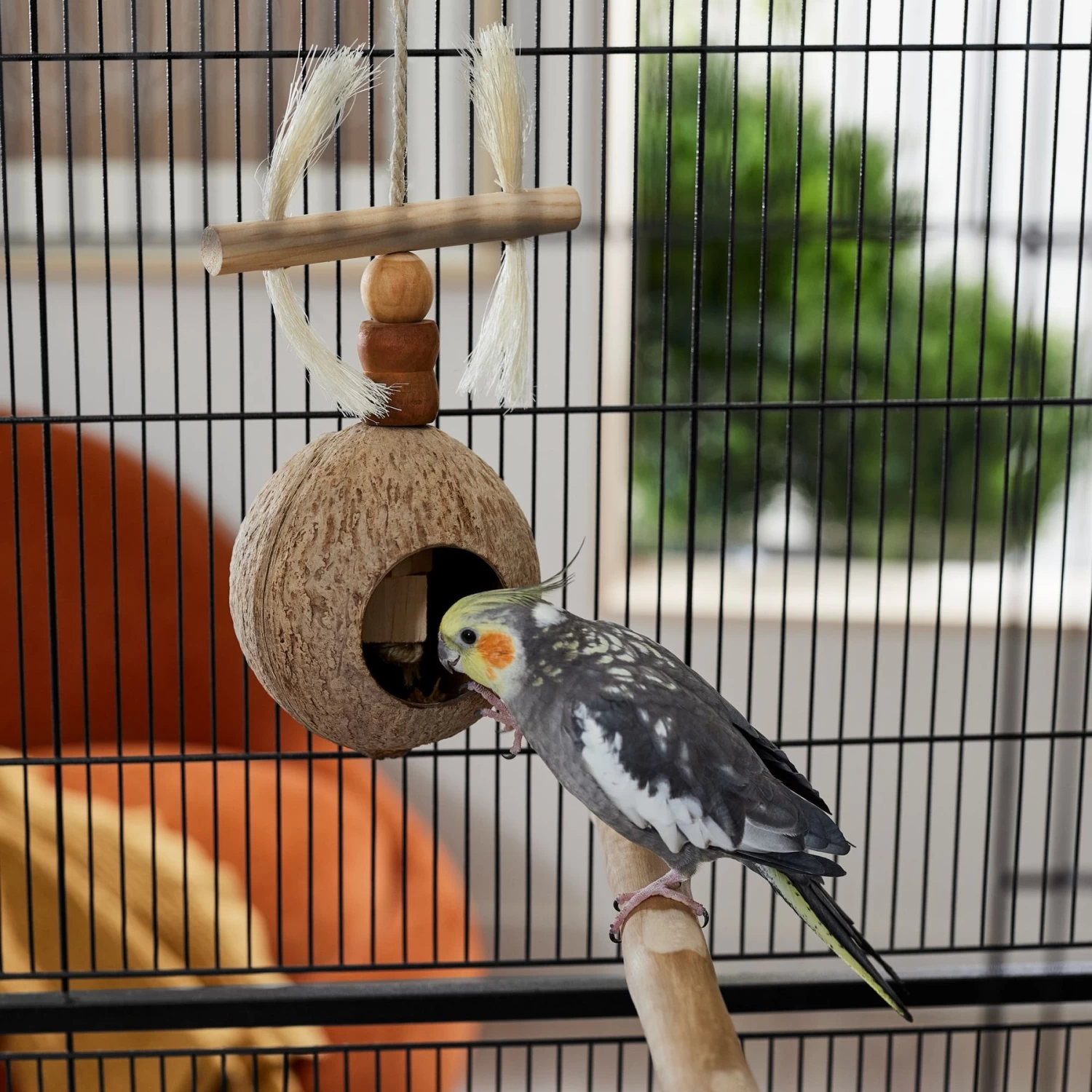 Frisco Coco Swing With Me Bird Toy - Image 3