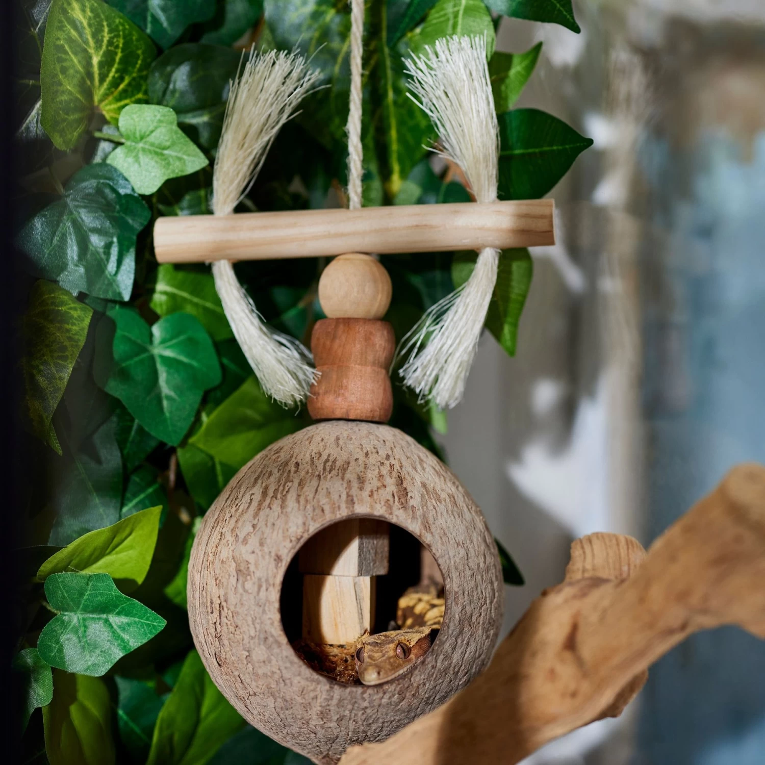 Frisco Coco Swing With Me Bird Toy - Image 4