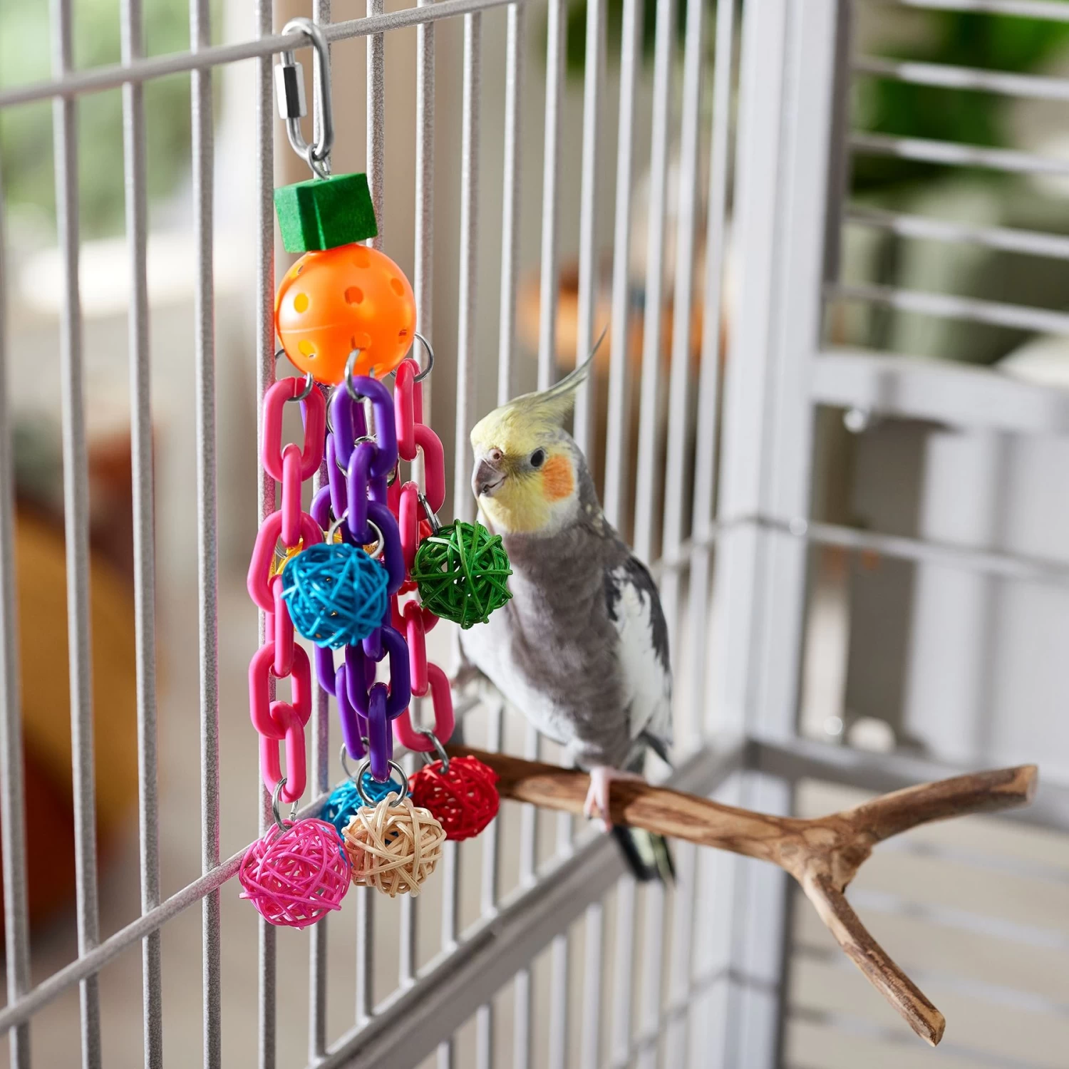 Frisco Entertainment Bundle Bird Toy - Image 3