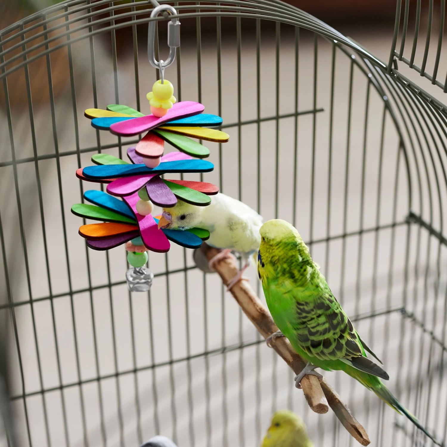 Frisco Popsicle Frenzy Bird Chew Toy - Image 3