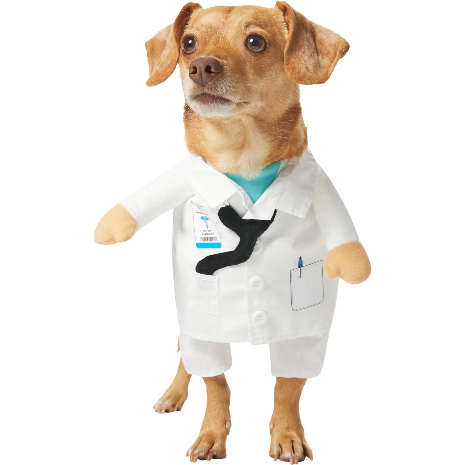 Frisco Front Walking Doctor Dog & Cat Costume