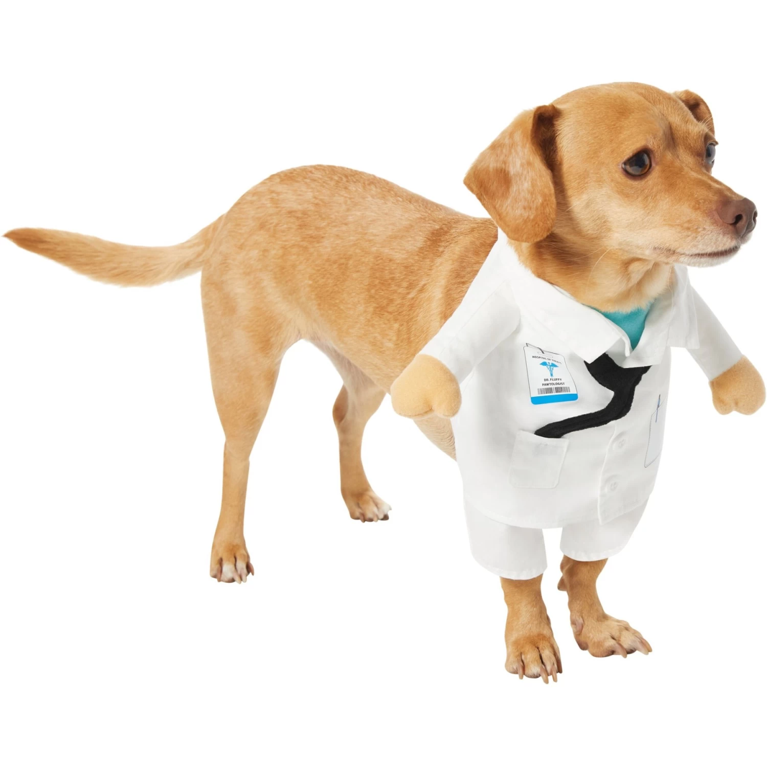 Frisco Front Walking Doctor Dog & Cat Costume - Image 4