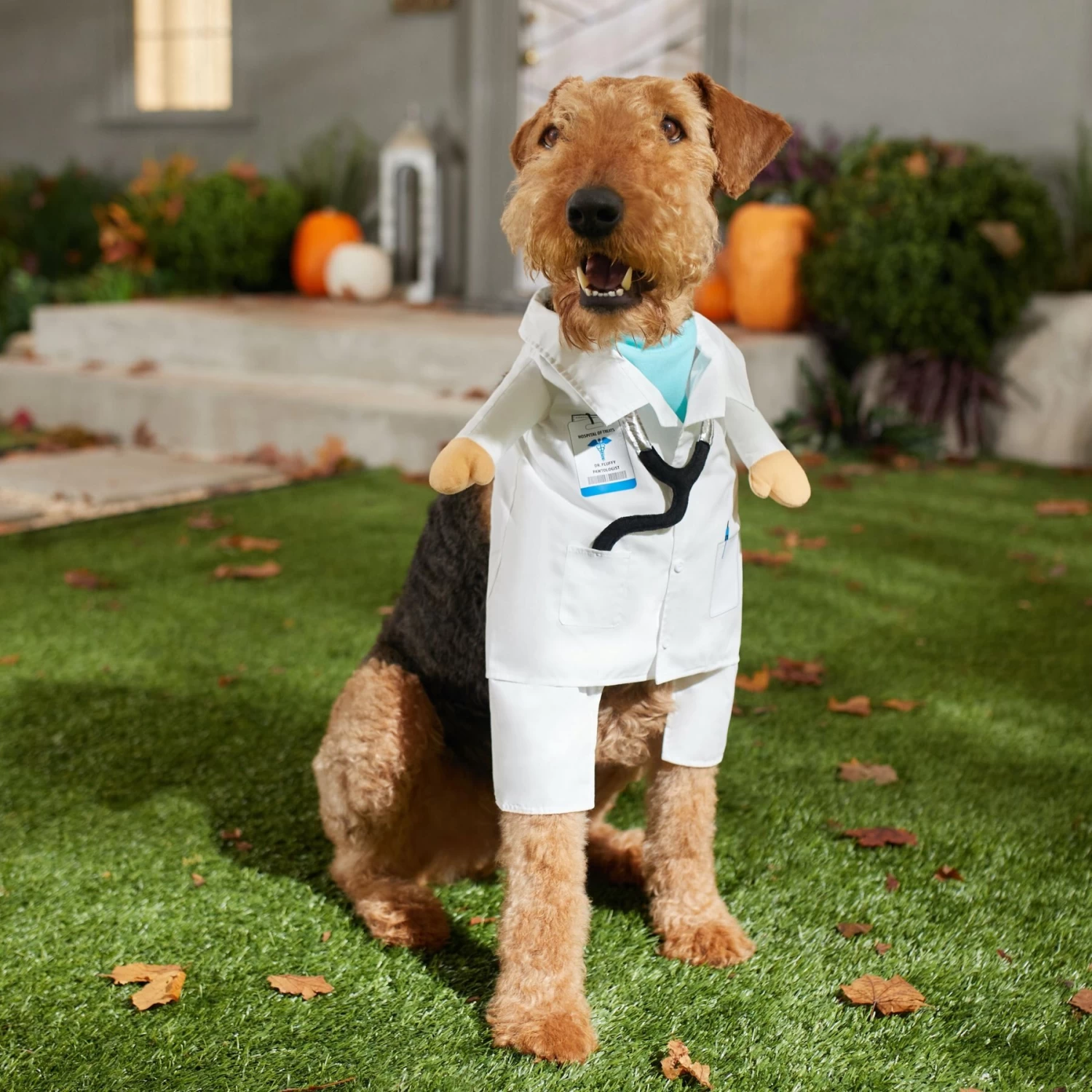 Frisco Front Walking Doctor Dog & Cat Costume - Image 7