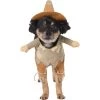 Frisco Front Walking Scarecrow Dog & Cat Costume